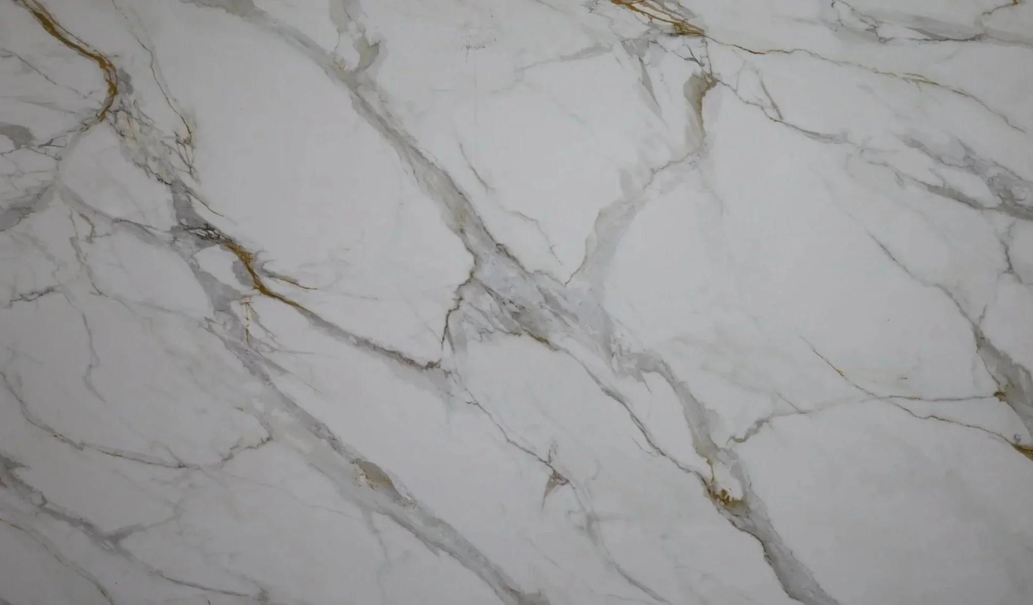 Calacatta Borghini Quartz