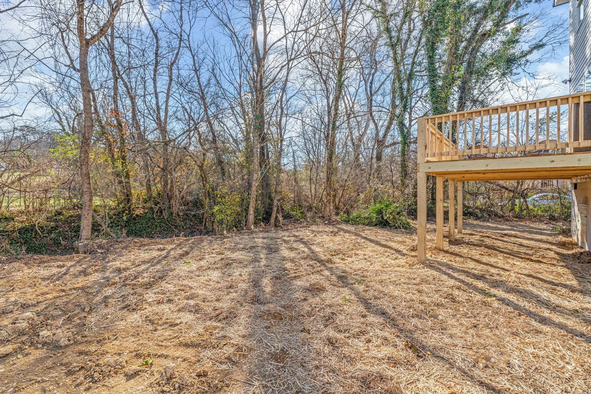 Backyard with trees, a wooden deck on the right, and dry grass and dirt ground.