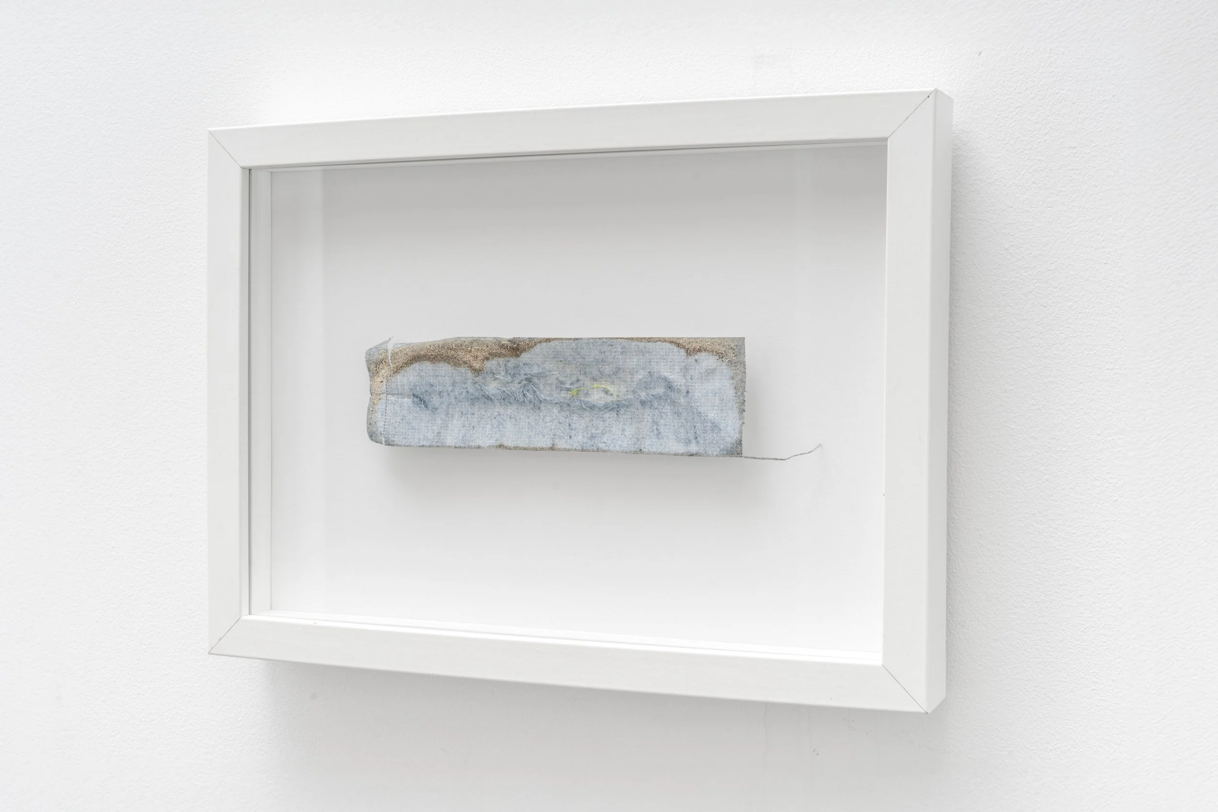 2026 In Frame 2 copy.jpg