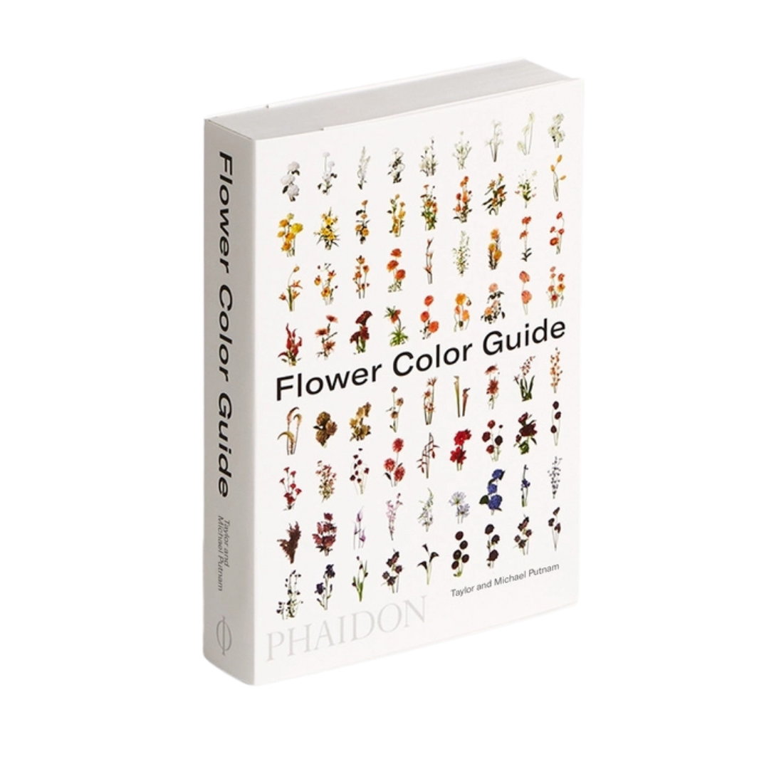 Untitled design (1).png