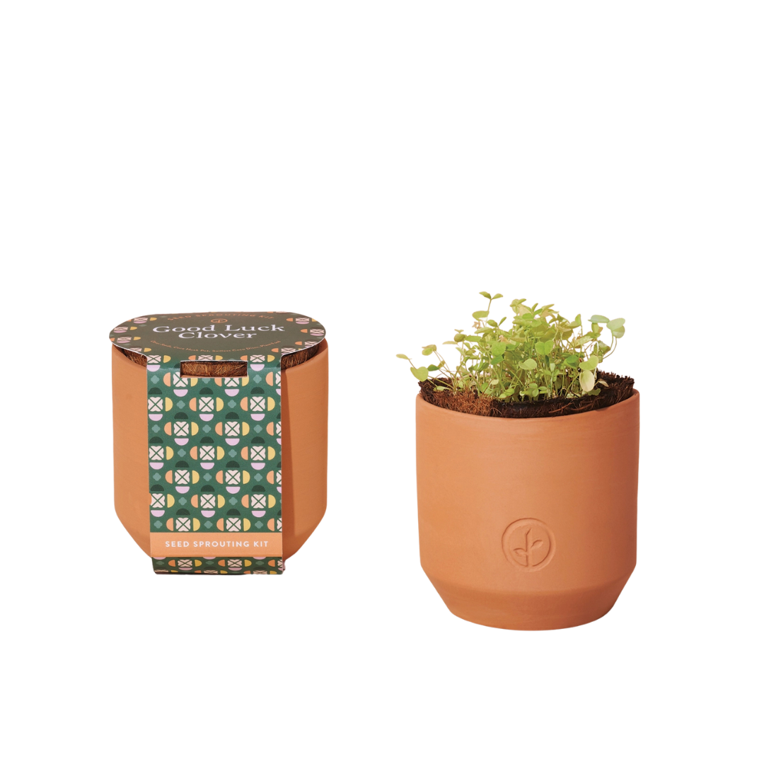 Good Luck Clover Kit — Lucy Interiors