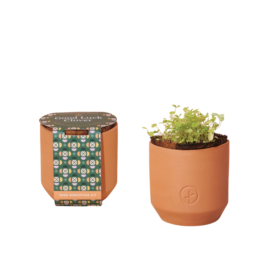 Good Luck Clover Kit — Lucy Interiors