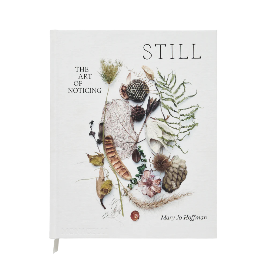 STILL: The Art of Noticing