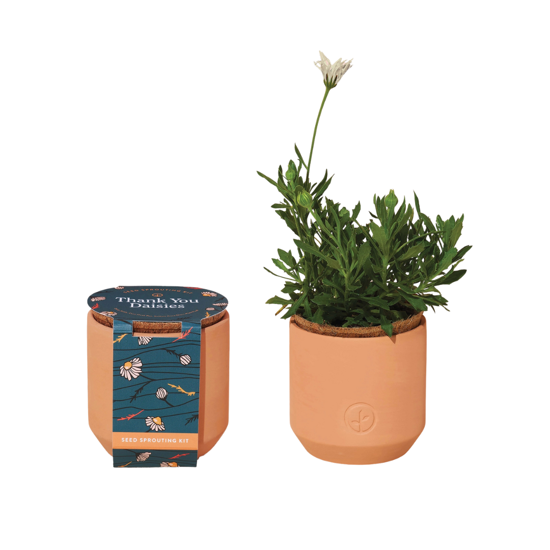 Untitled design (26).png