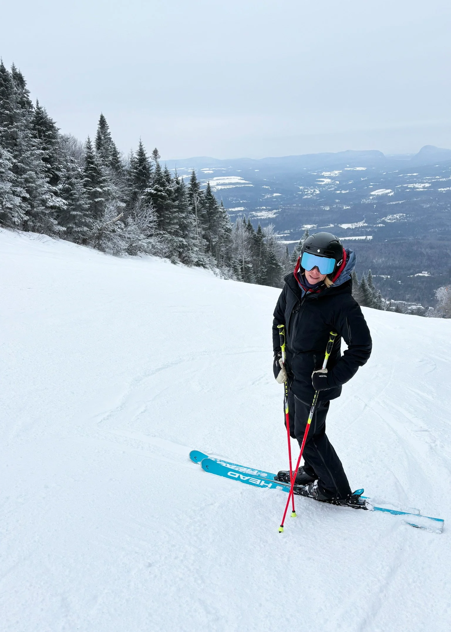 A person in winter gear and ski goggles skiing on a snowy mountain slope with a forest and mountain range in the background.