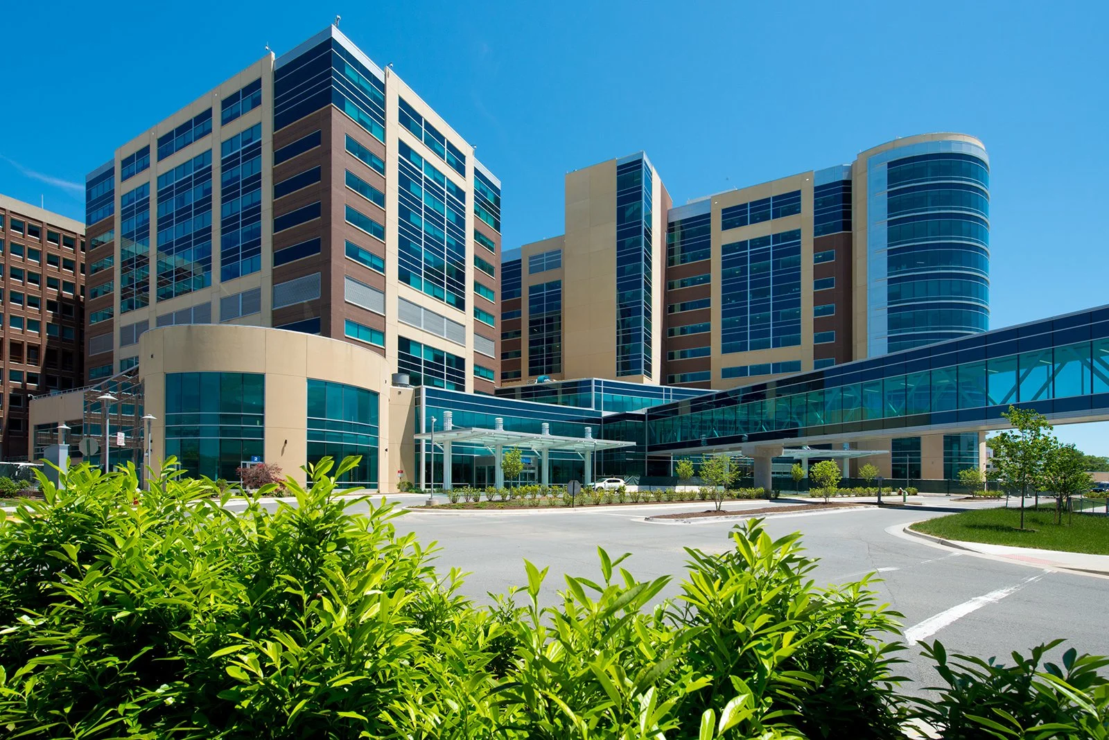 Modern multi-story office building with glass windows and surrounding greenery under a blue sky.