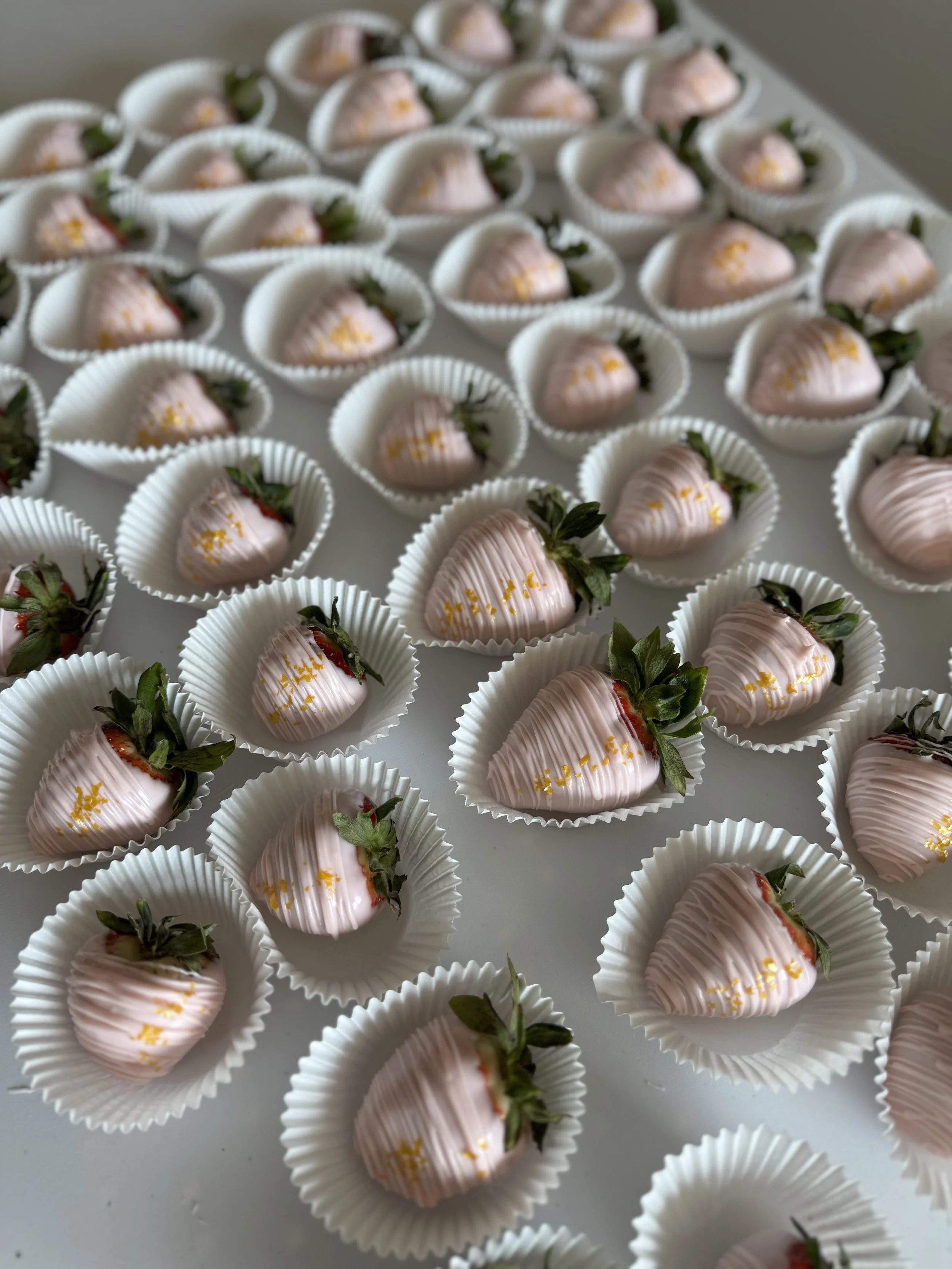 Chocolate Covered Strawbs.jpeg