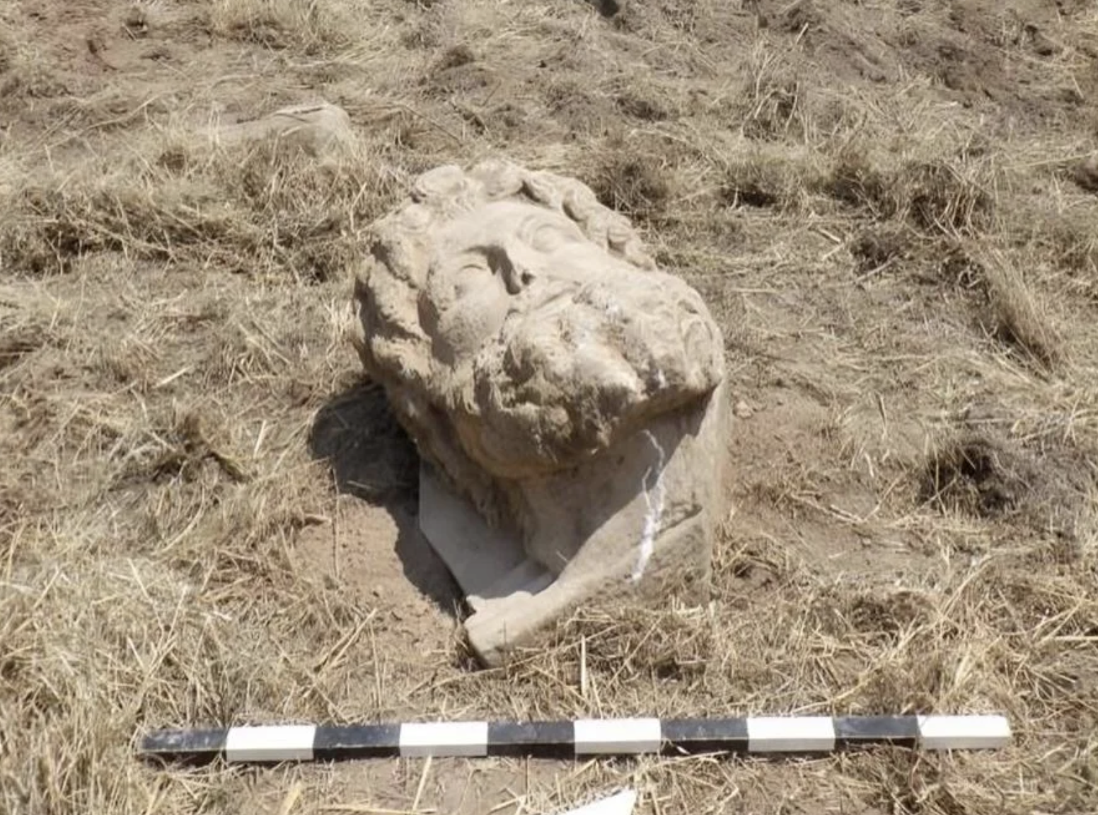 A Marble Head of Zeus found in Ancient Aphrodisias!