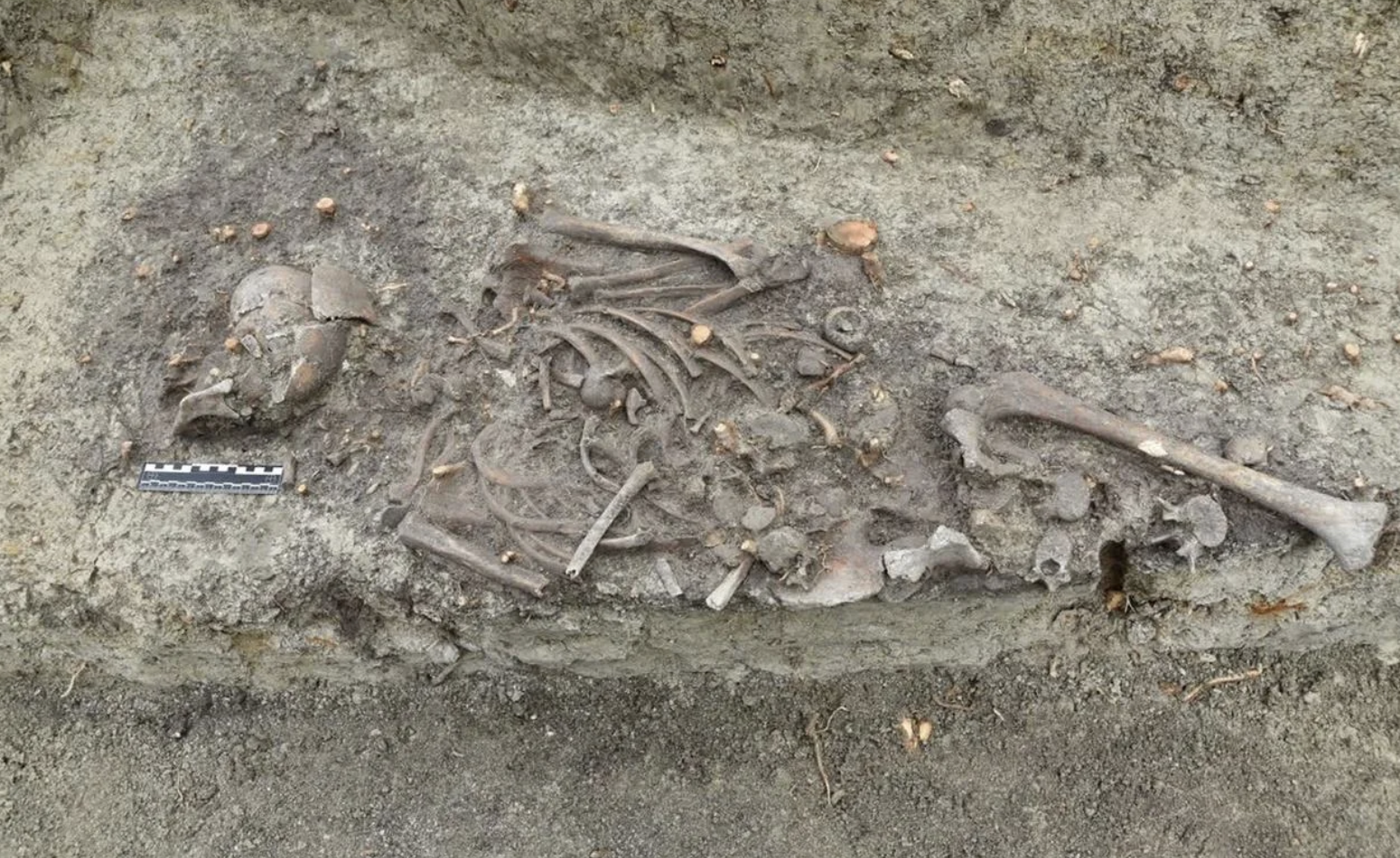 Uncovering Medieval Vampire Burials in Poland!