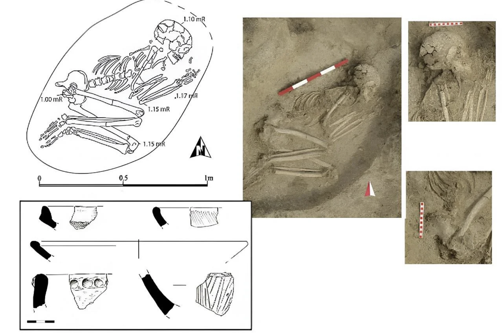 6,000-Year-Old Lion Attack Survivor Reveals Prehistoric Care!