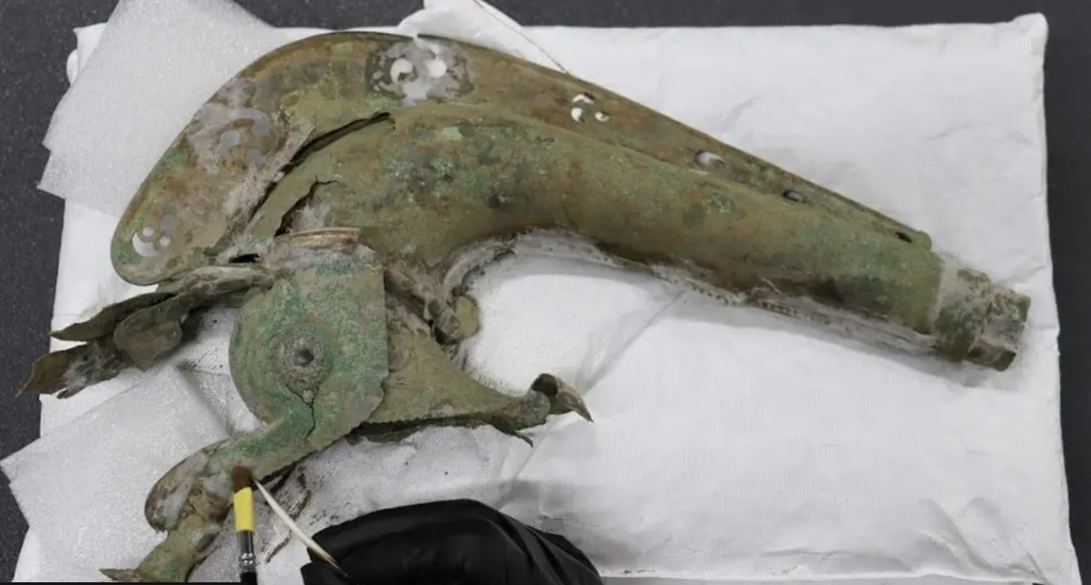 Rare Iron Age Carnyx and Boar Standard Discovered in Norfolk!