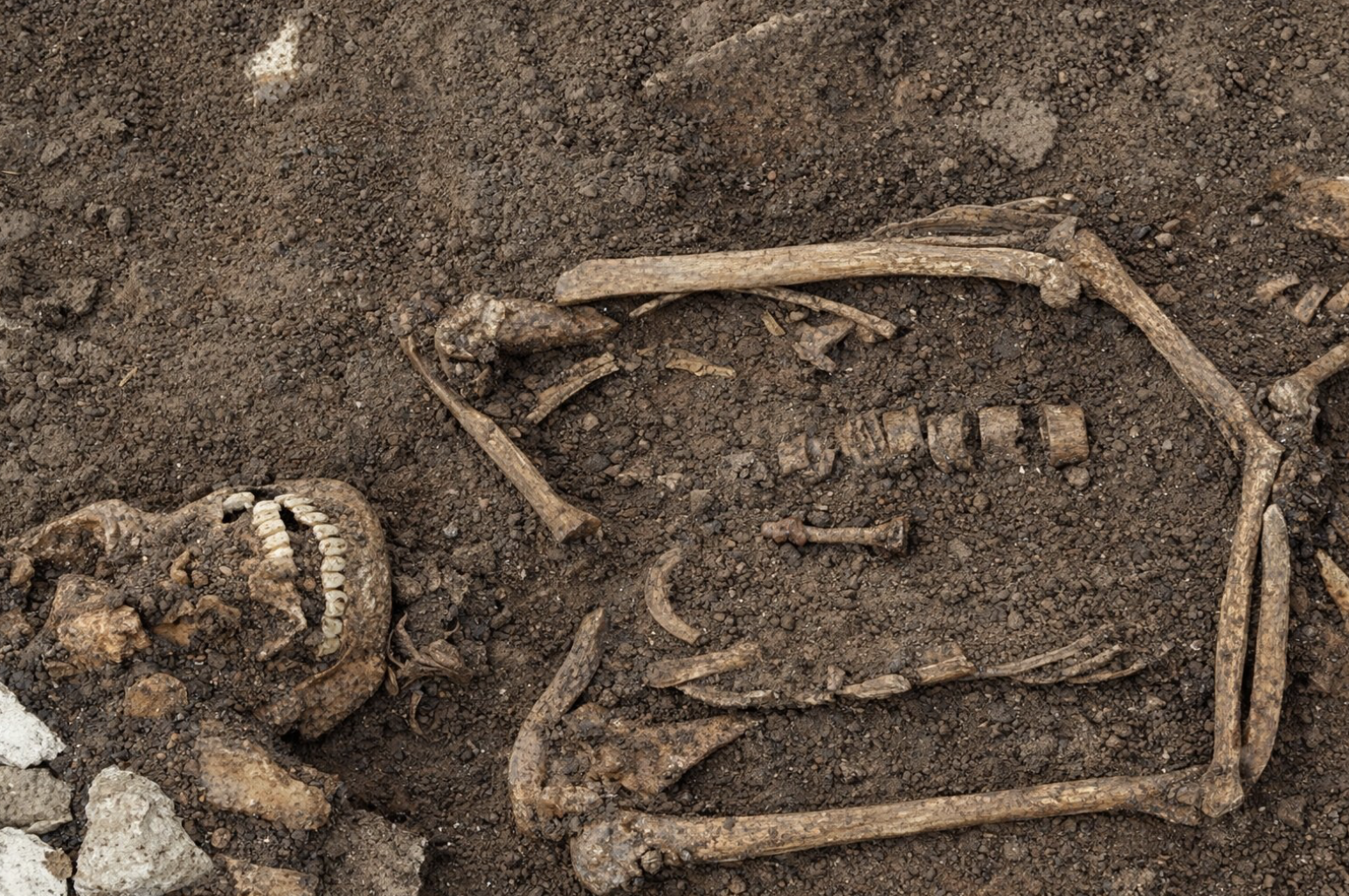 Iron Nails Found in Roman Graves Reveal Ancient Rituals at Ostiense Necropolis!