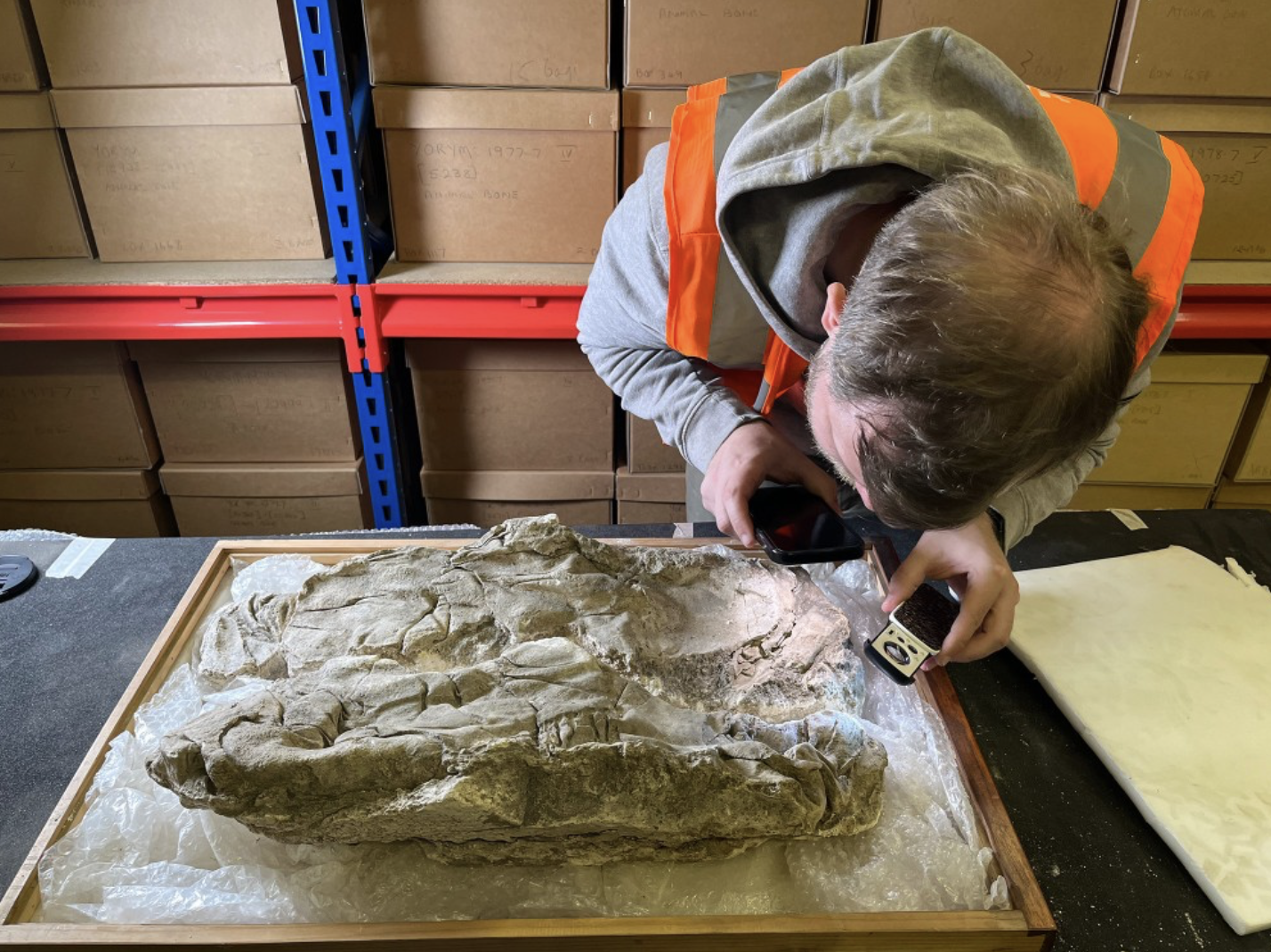 Roman York Discovery: Babies Buried in Rare Tyrian Purple Cloth!
