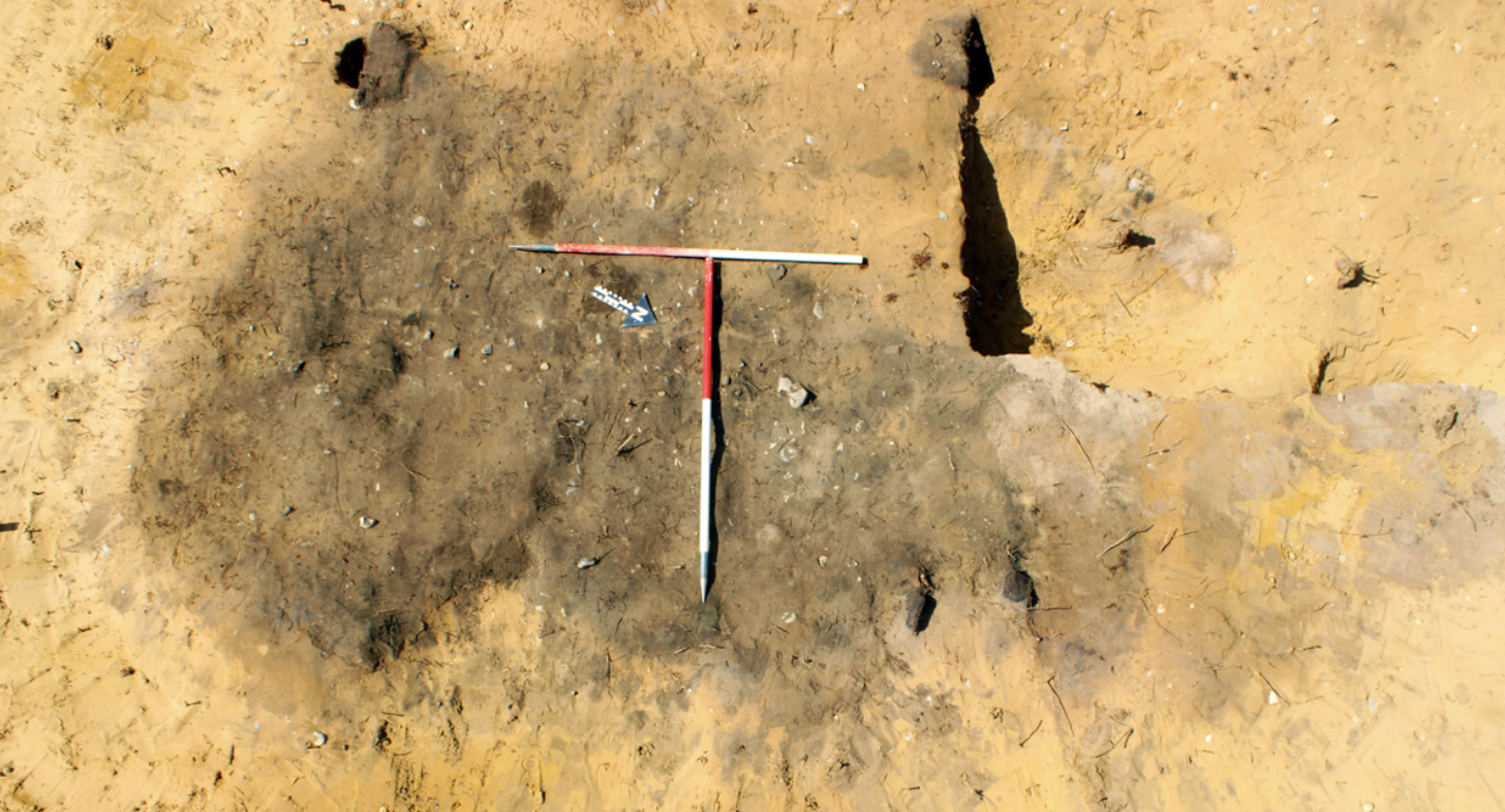 Rare Ancient Funeral Pyre Unearthed at Sizewell C Site Sheds Light on Prehistoric Rituals!
