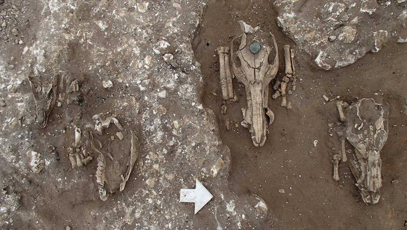 Roman Shrine in Suffolk Reveals Ancient Rituals Around Bronze Age Burial Mound!