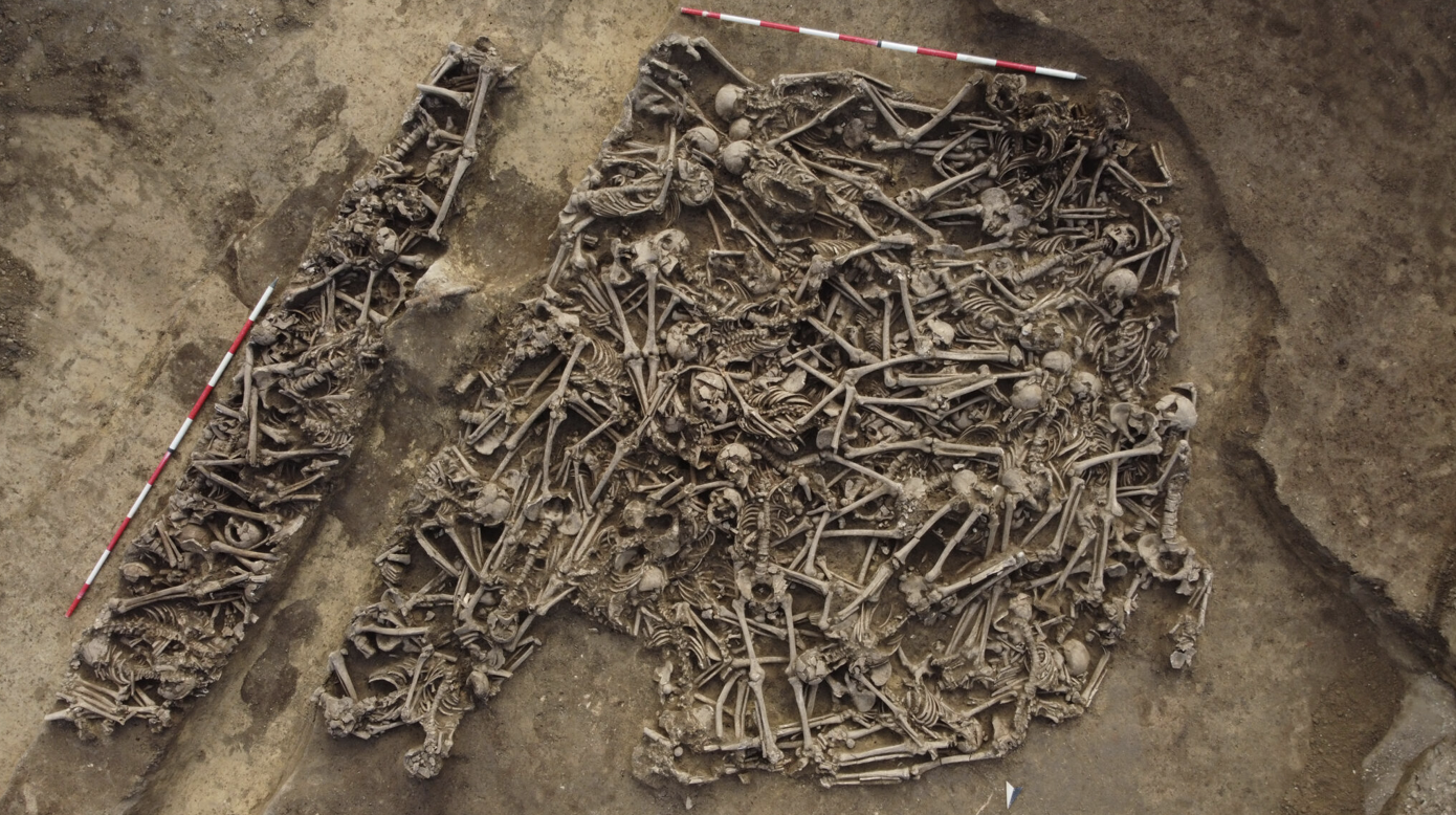 Roman Mass Grave Beneath Vienna Football Pitch Reveals Forgotten Battle!