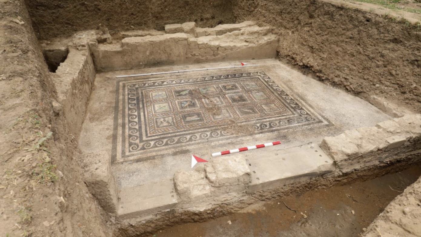 Roman Villa at Adramytteion Reveals Named Cat and Dog in Ancient Mosaic!