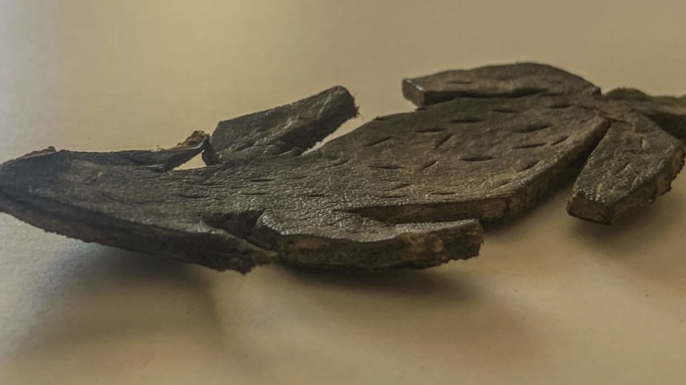 Tiny Leather Mouse Reveals Everyday Life at Roman Vindolanda!