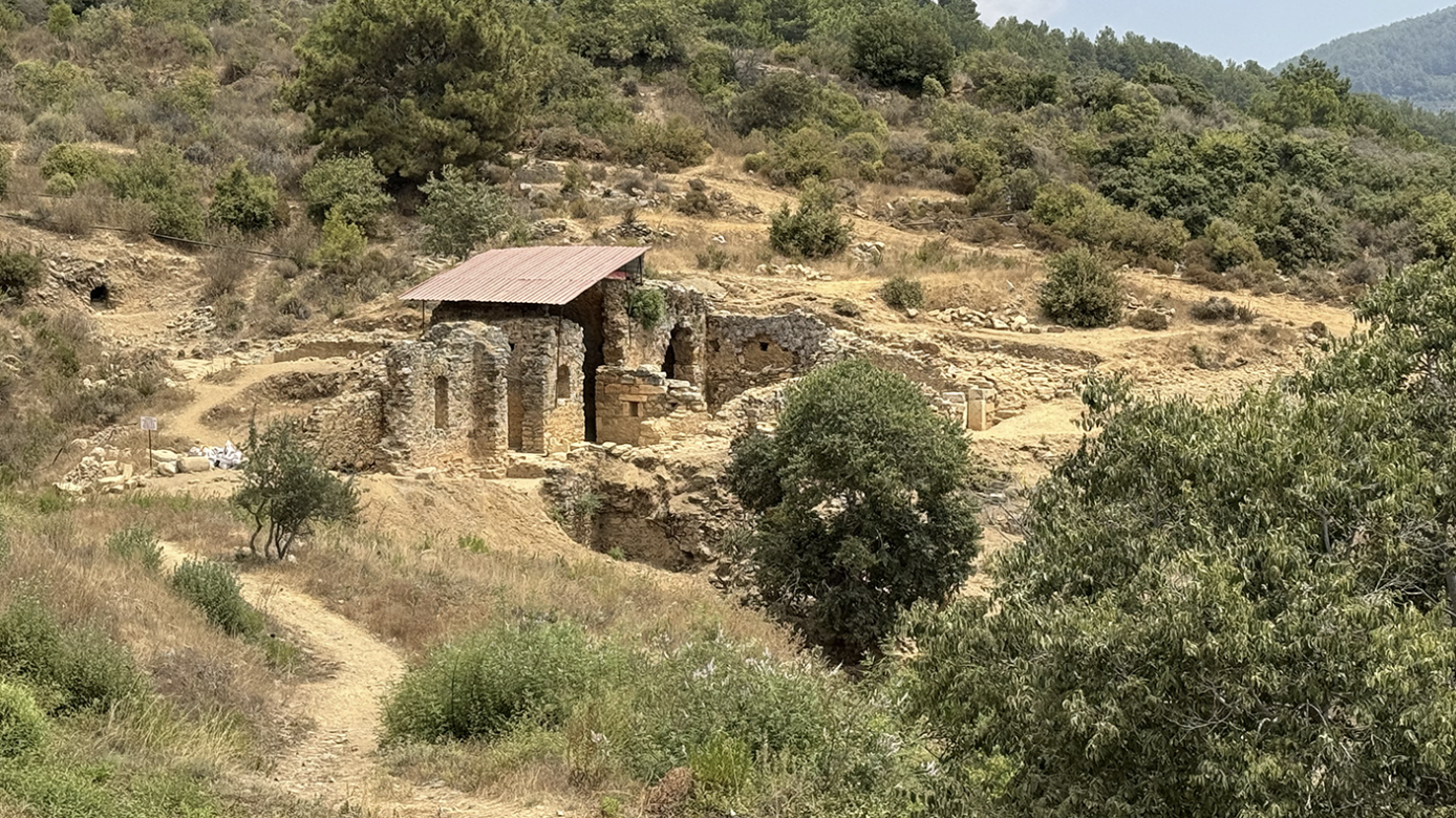 Roman Bath in Türkiye Transformed into Wine and Olive Oil Complex!