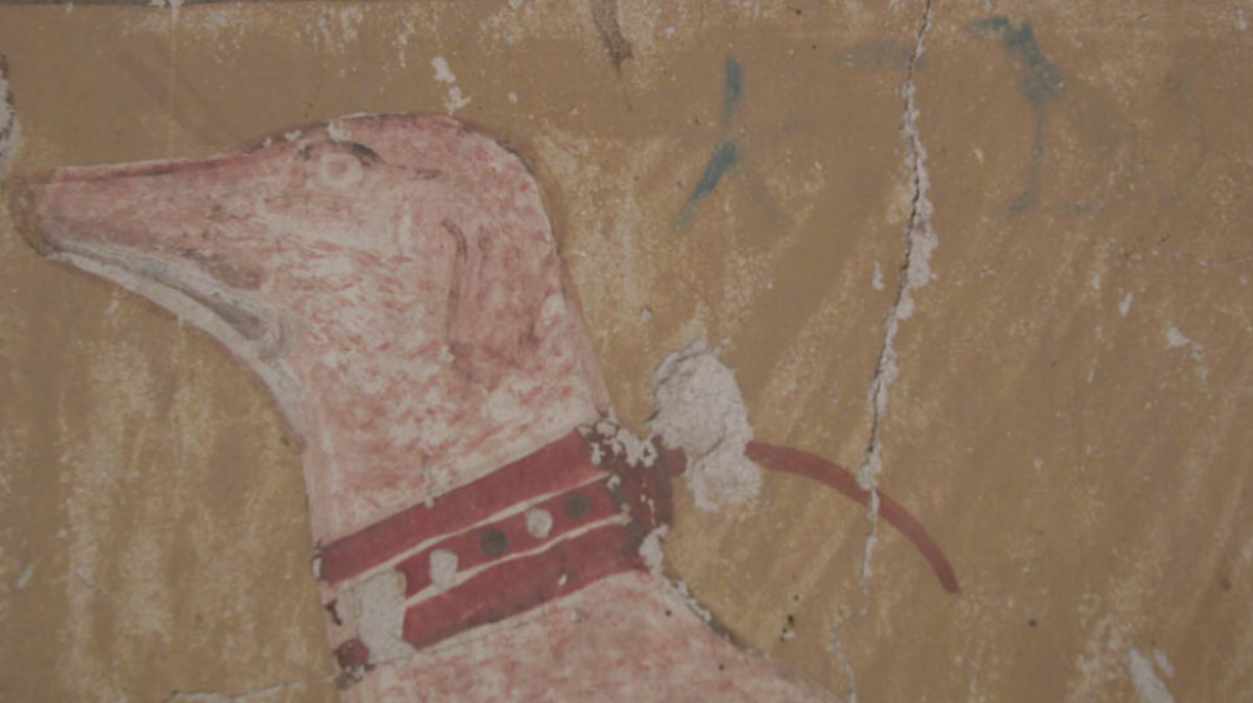 3,500-Year-Old Egyptian Dog’s Name Revealed in Ancient Tomb!