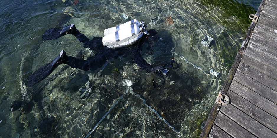 Neolithic axe found in Steckborn harbour