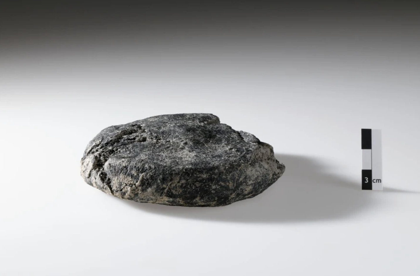 Roman bread found in Switzerland!