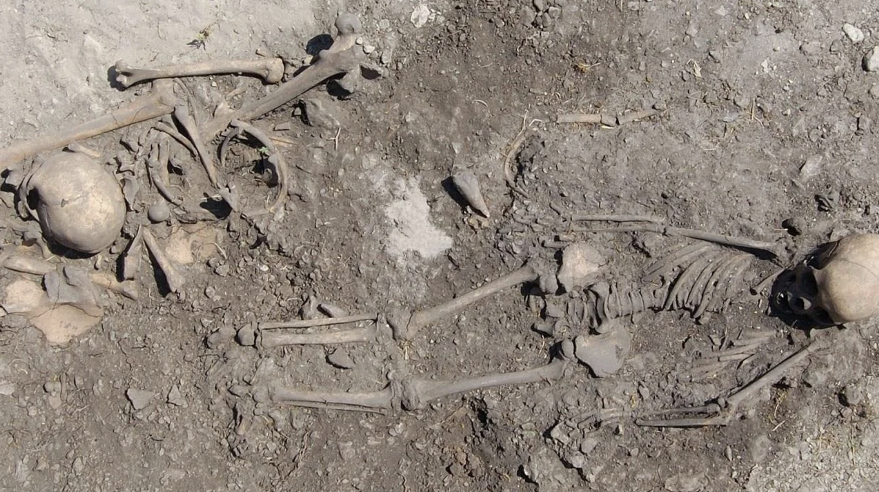Gotland Cemetery - Stone Age burials