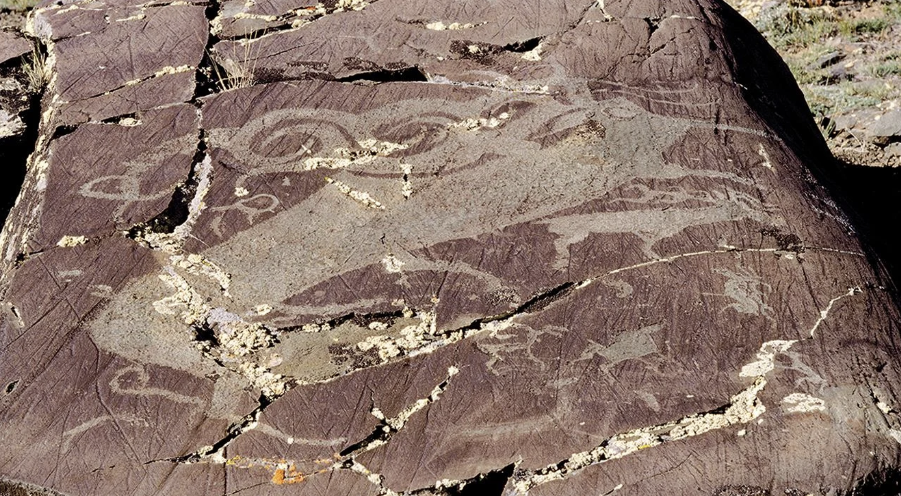 Stylised Elk Petroglyphs