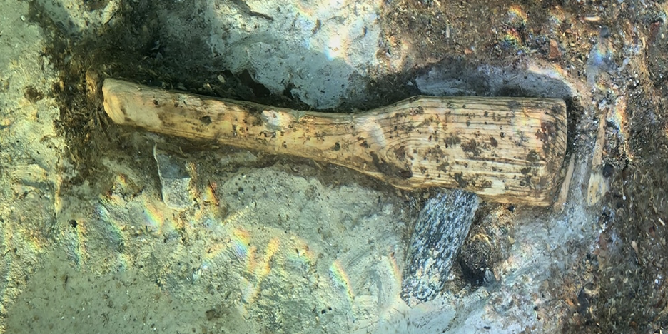 Neolithic axe discovered in Steckborn Harbour