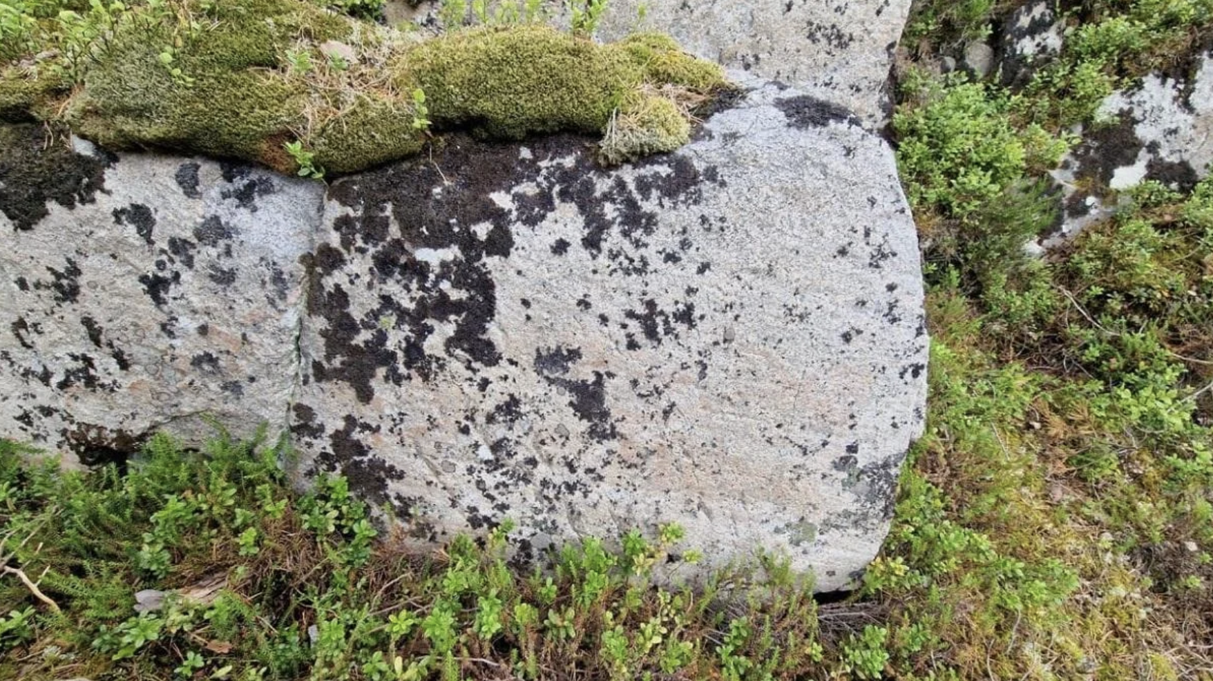 Hidden Stone Age rock paintings in Norway