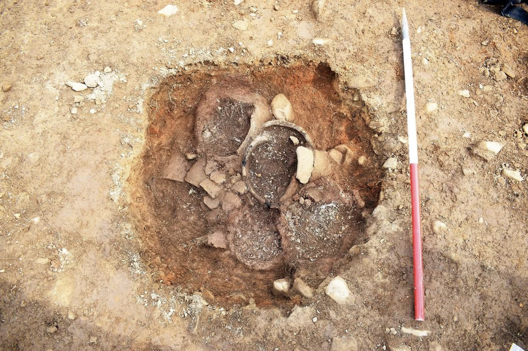 Bronze Age mass burial in Scotland