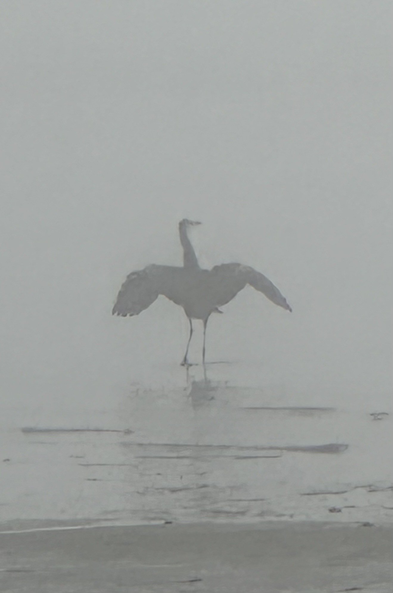 IMG_7694.jpeg