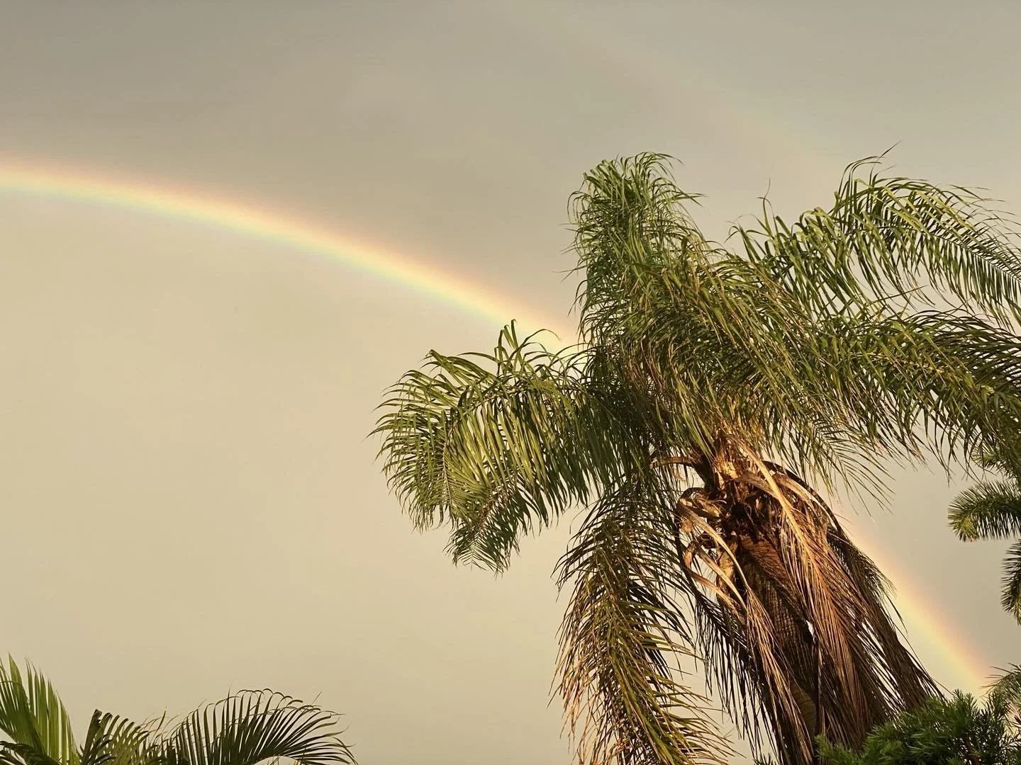 WHAT IS AT THE END OF YOURS