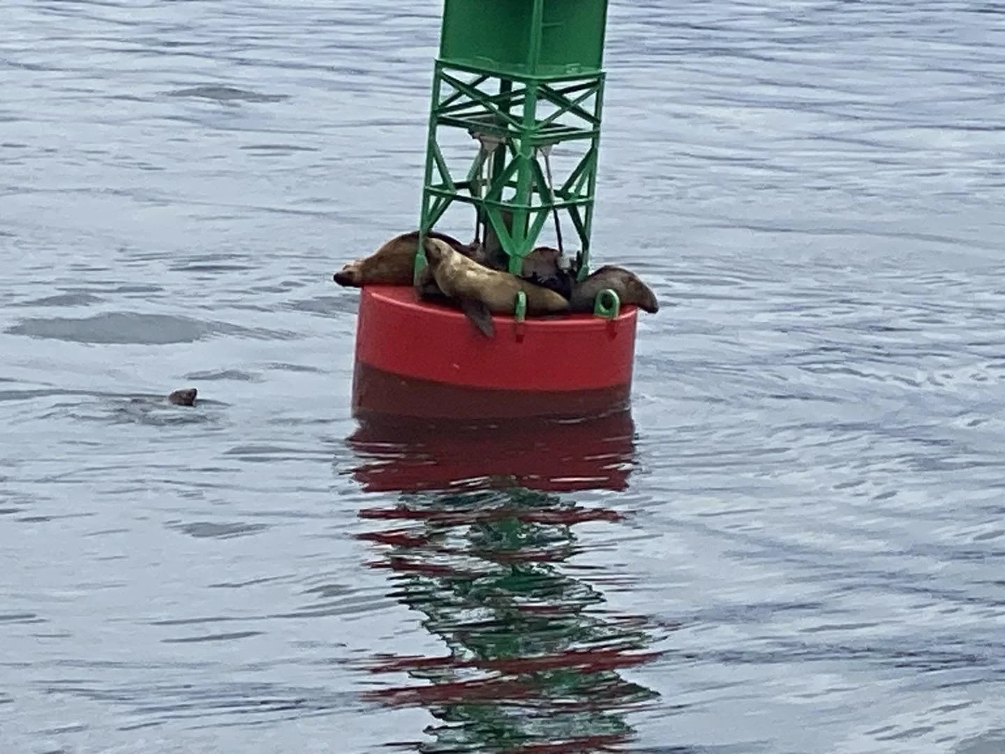 THRIVE AT YOUR OWN PACE!