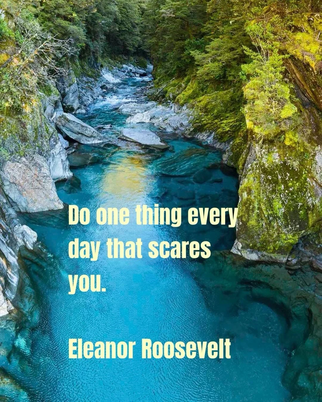 THRIVE&hellip;BECAUSE YOU CAN!