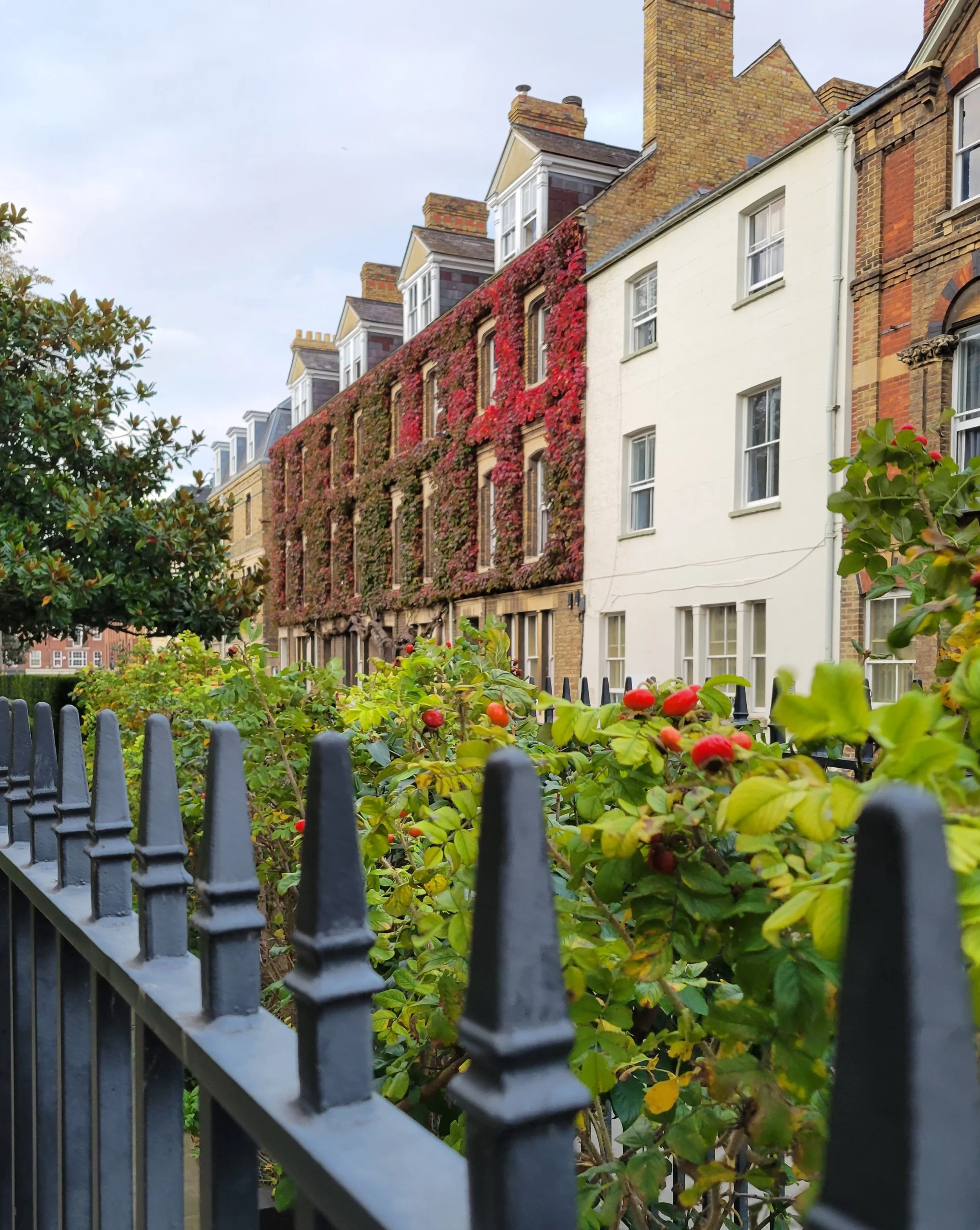 Multiplex Living in Europe