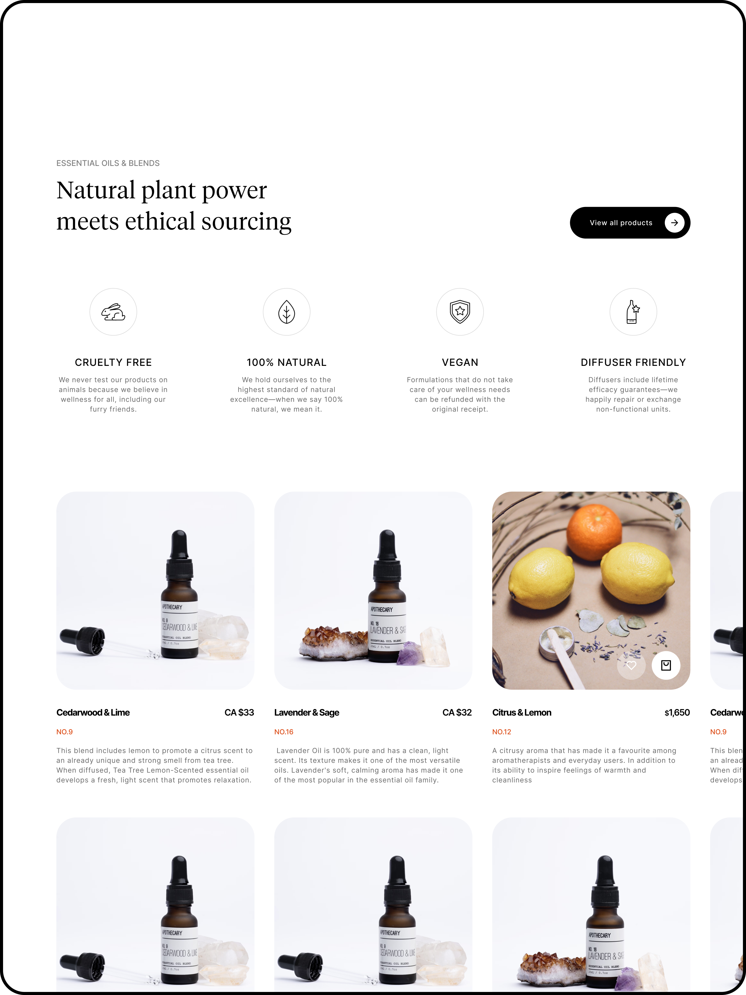 website-3.png