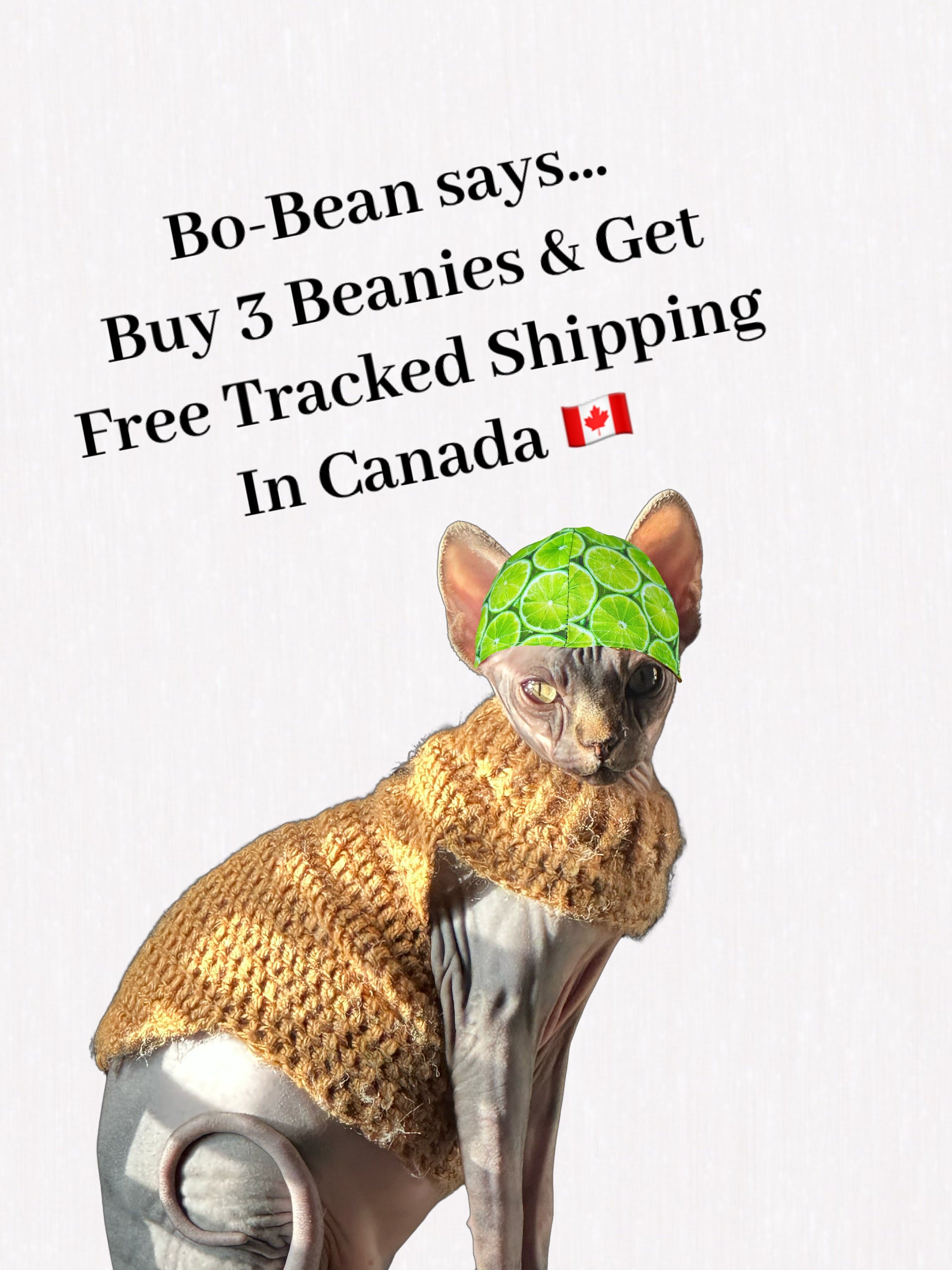free tracked shipping in canada with the purchase of three welding beanies (Copy)