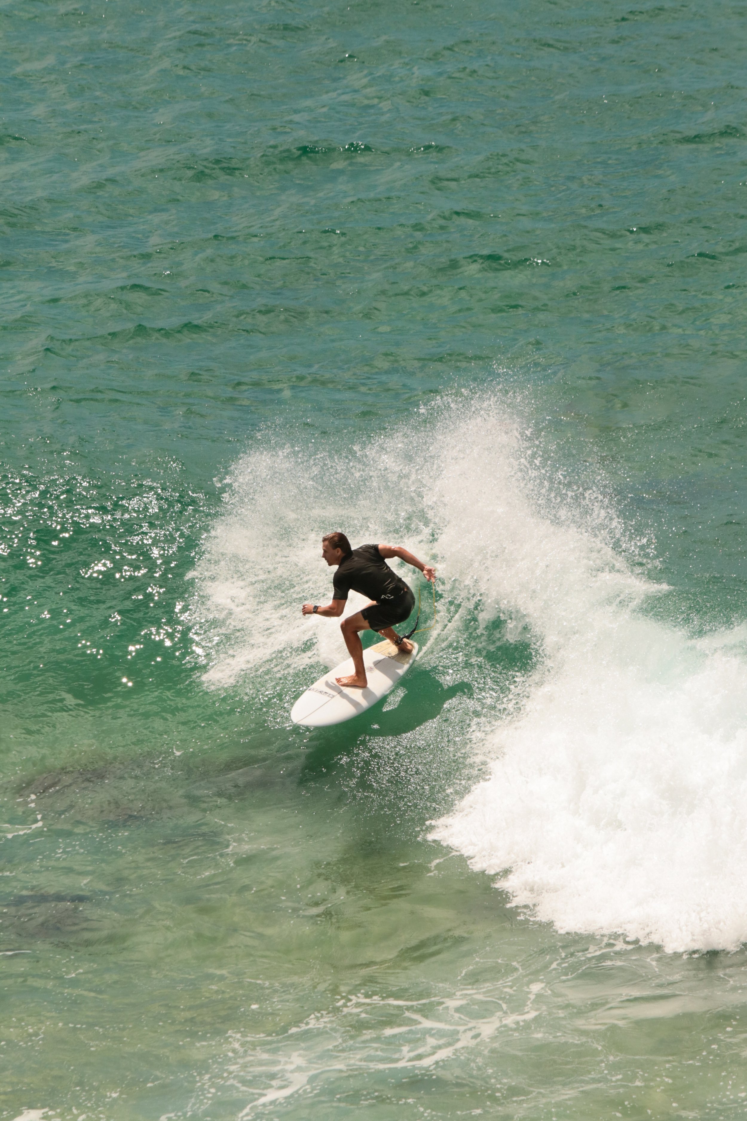 waveshredder.jpg