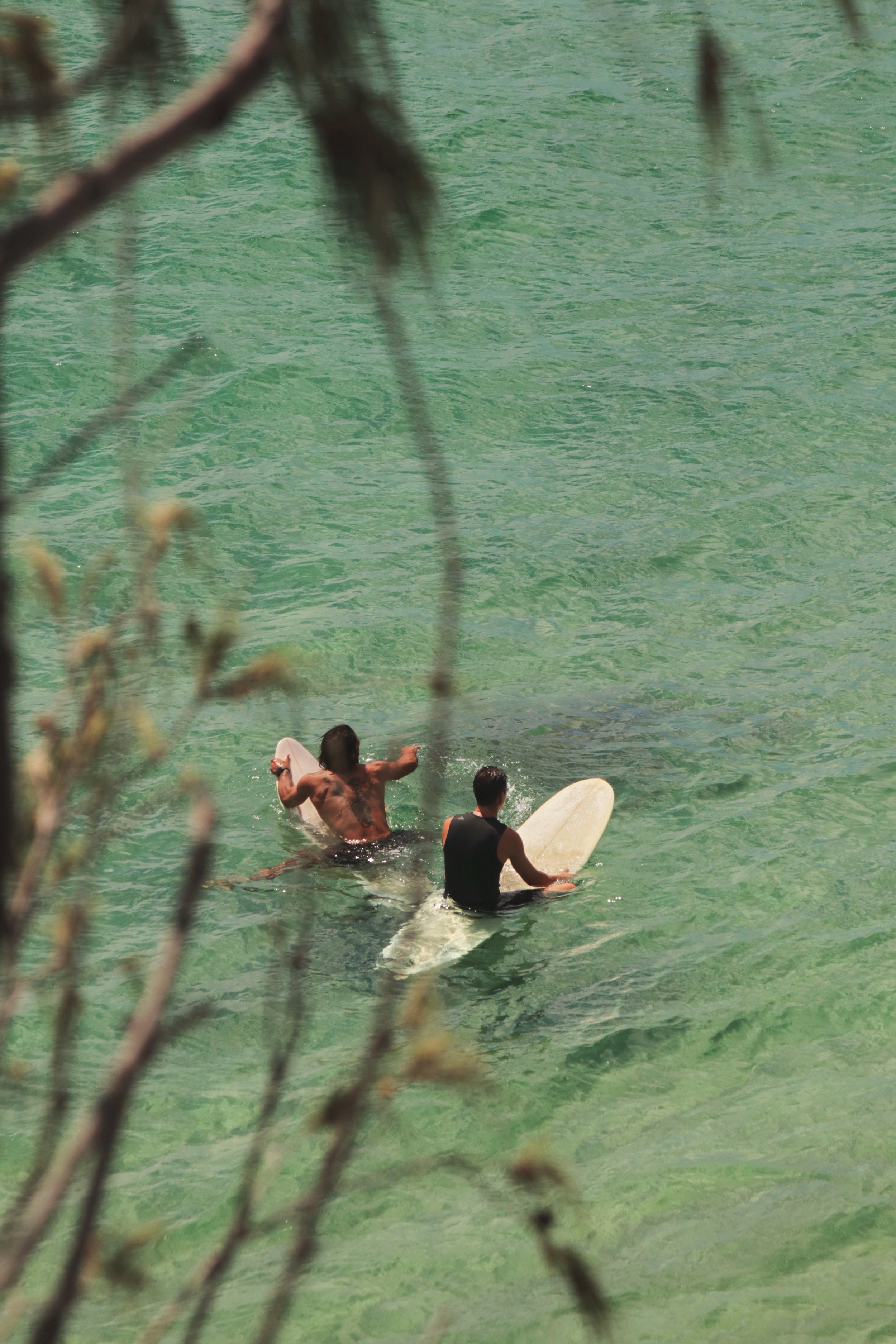 surferbros.jpg