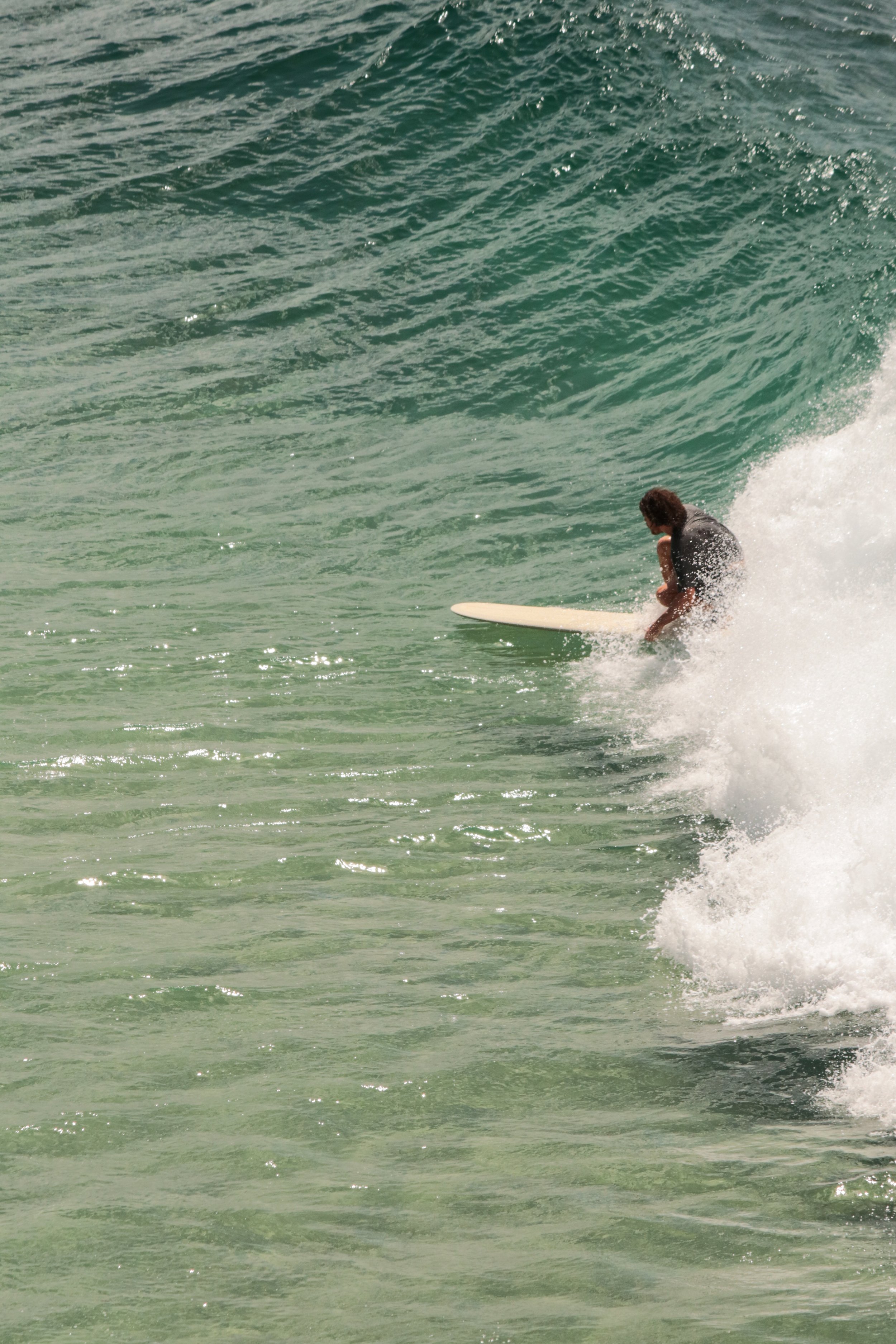 longboardshredder.jpg
