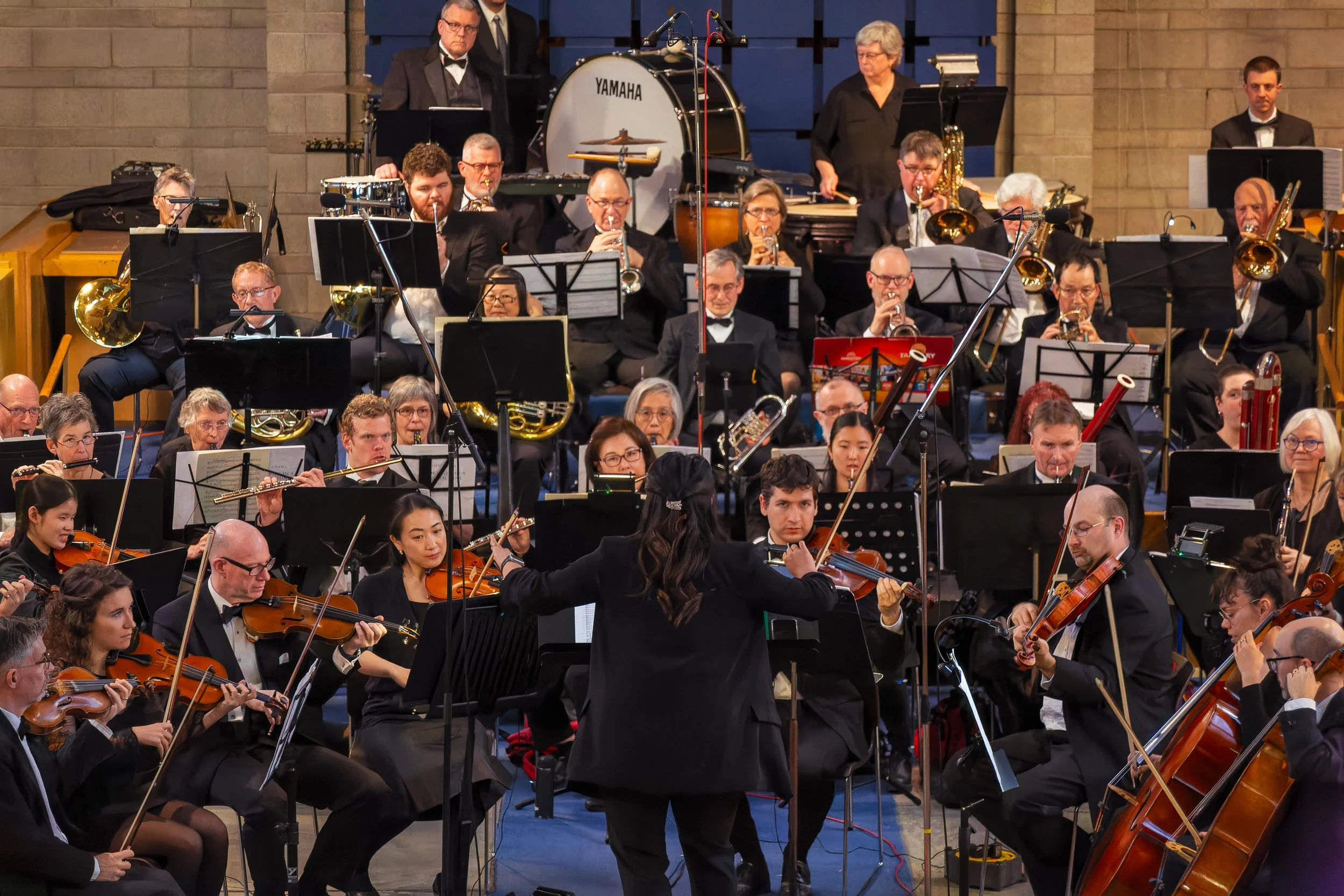 Organ & Orchestra concert image