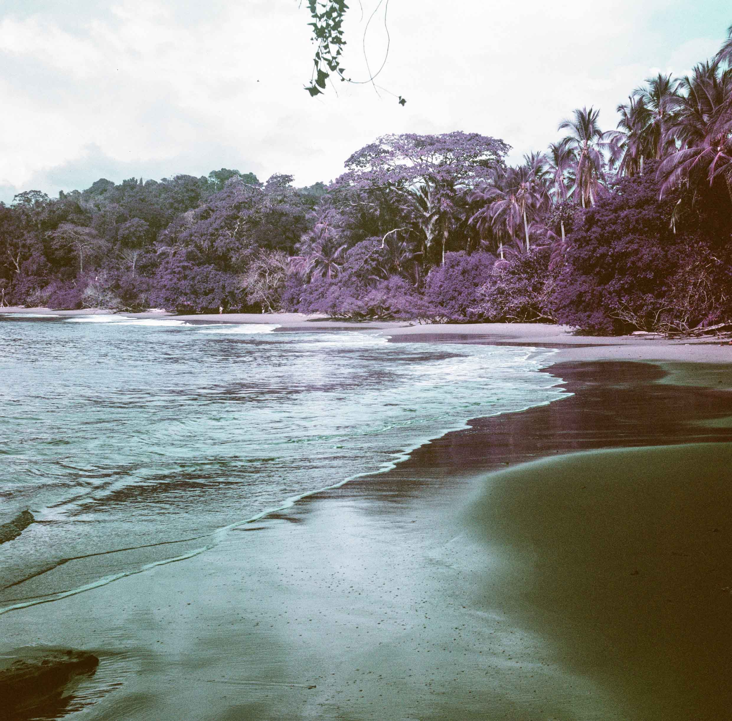 Manuel Antonio National Park, Costa Rica