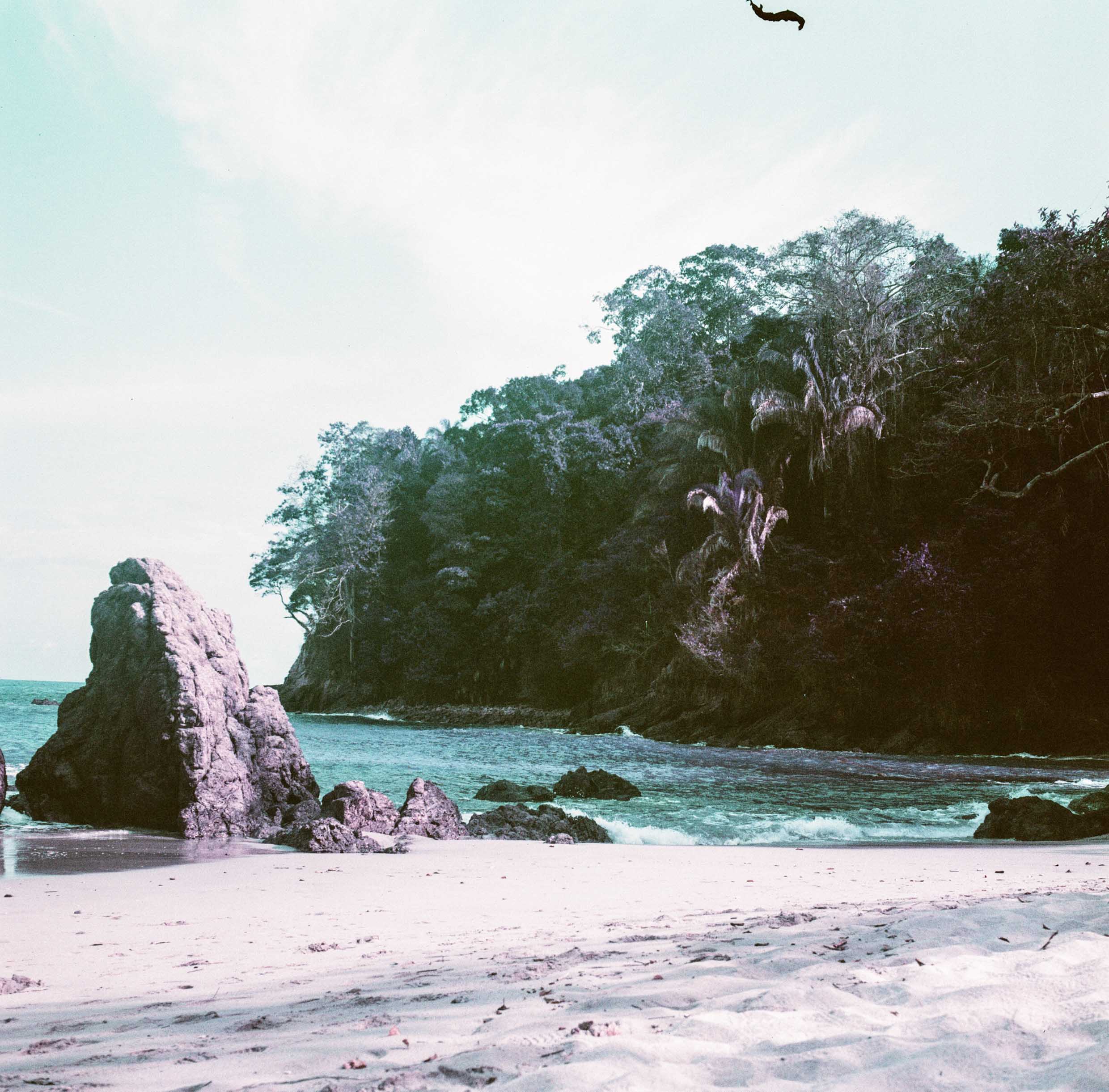 Manuel Antonio National Park, Costa Rica
