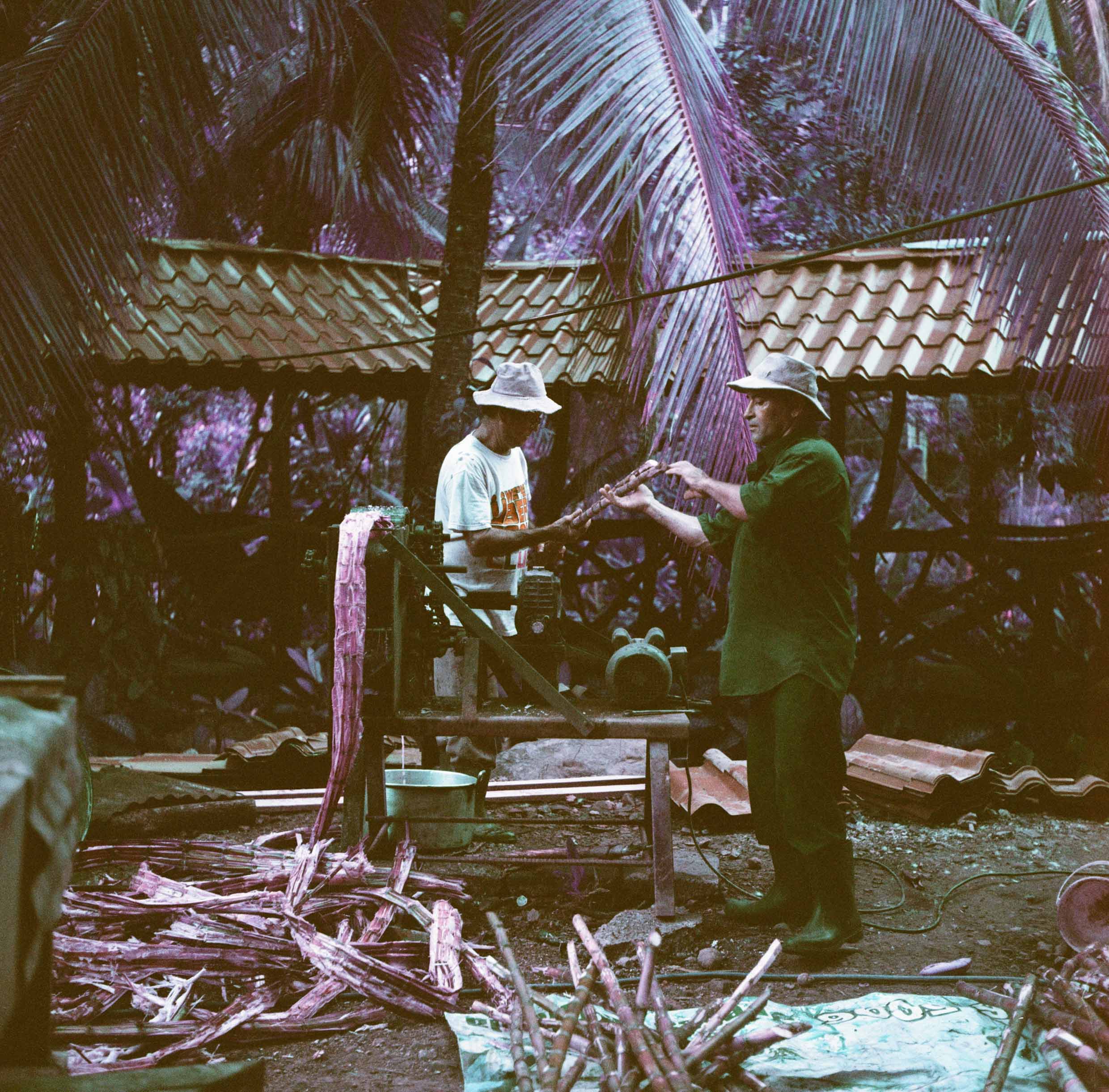 Restaurante Tilapias El Pavon, Punta Mala Arriba, Costa Rica