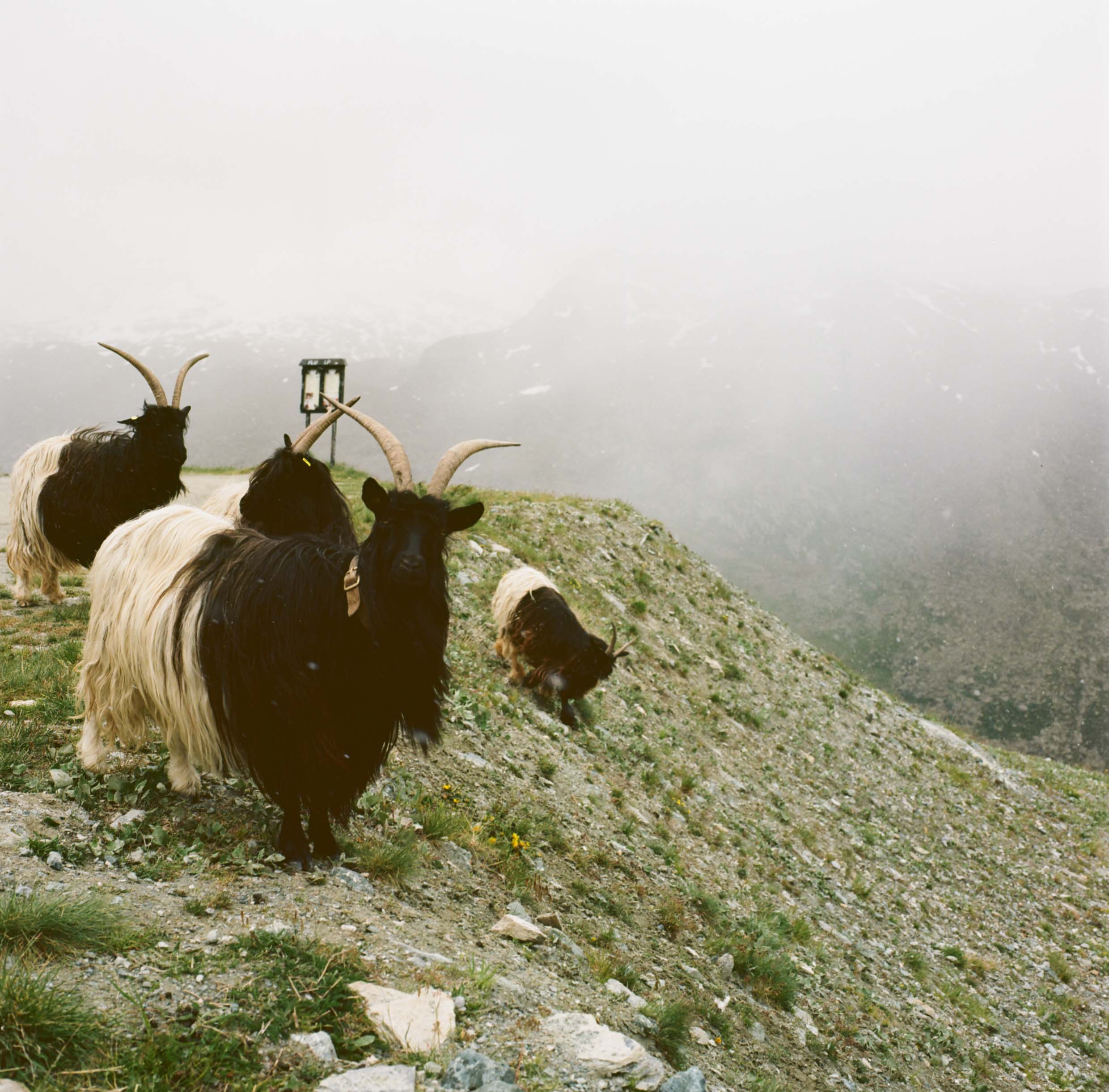 The Rothorn, Switzerland