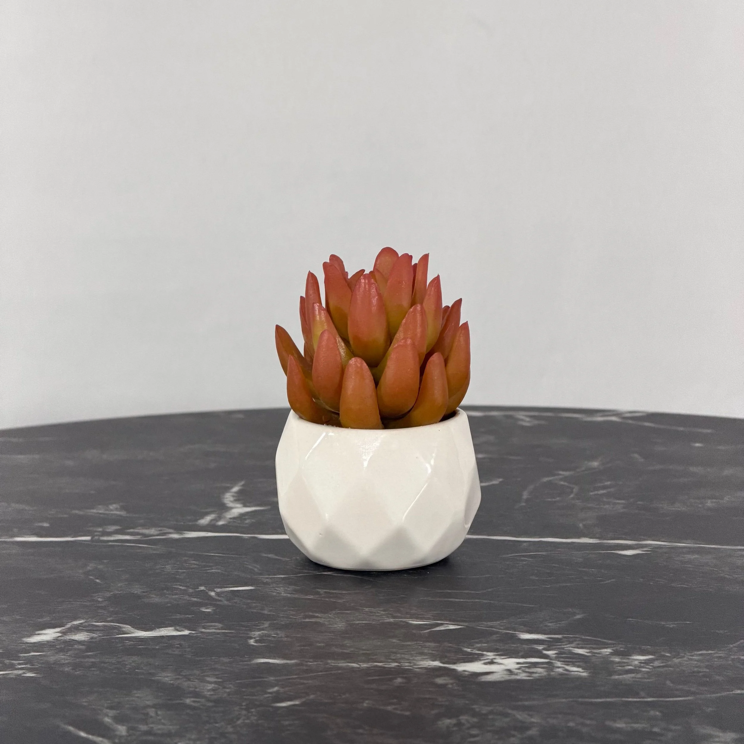 Mini Succulent, Terracotta