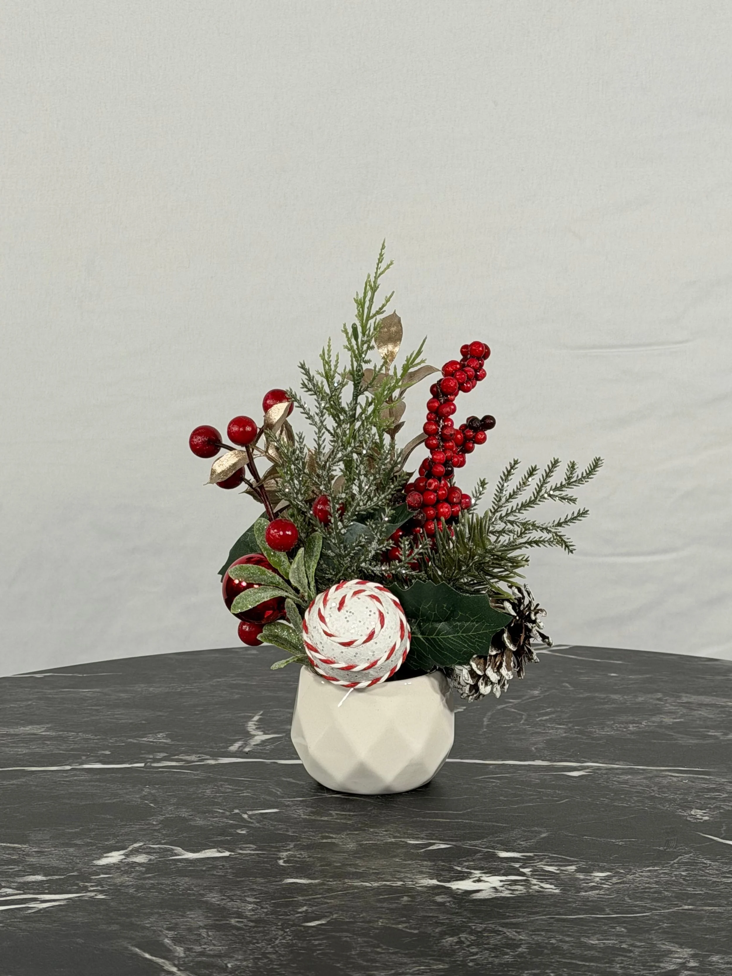 Mini Succulent, Christmas Candy Cane w/ Red Berries