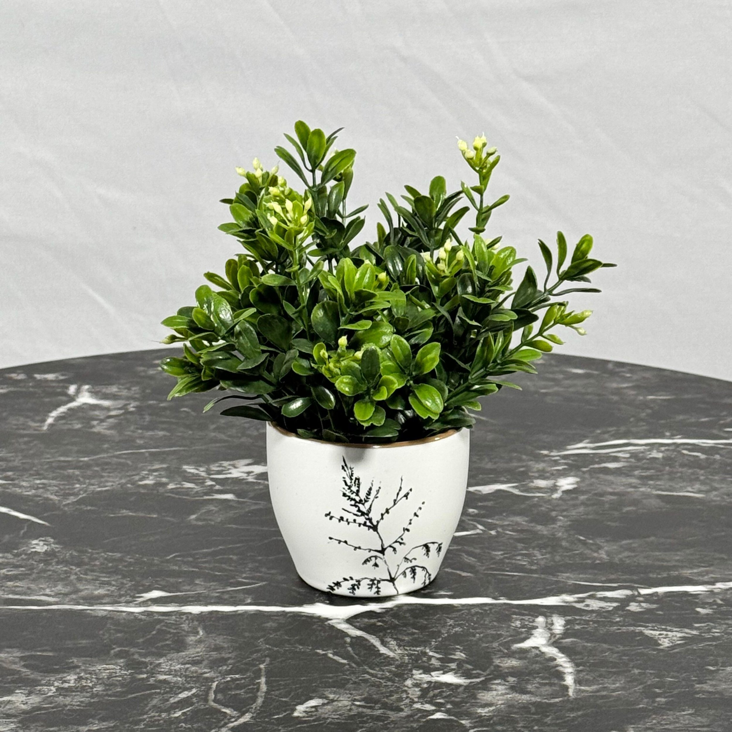Boxwood Spray