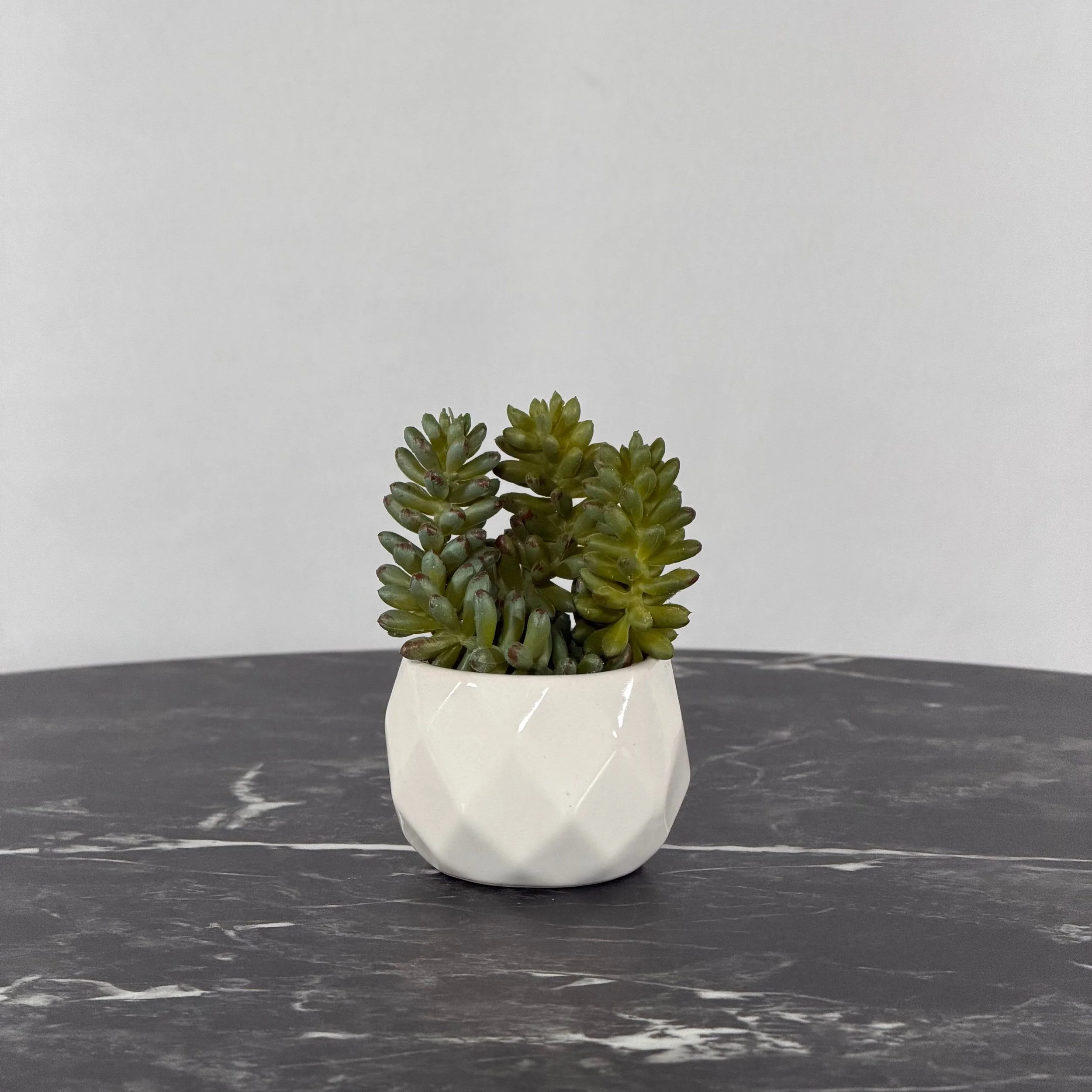 Mini Succulent, Closed Green Sedum
